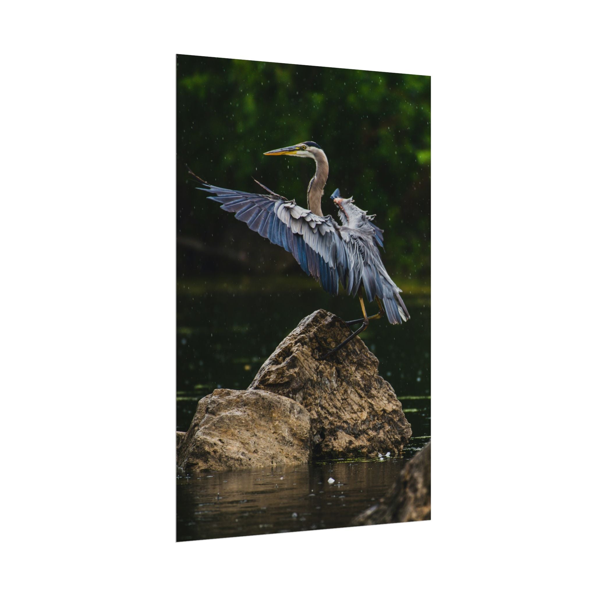 great-blue-heron-poster-wall-art-home-decor-bird-lover-gift-nature-wall-hanging-wildlife-poster