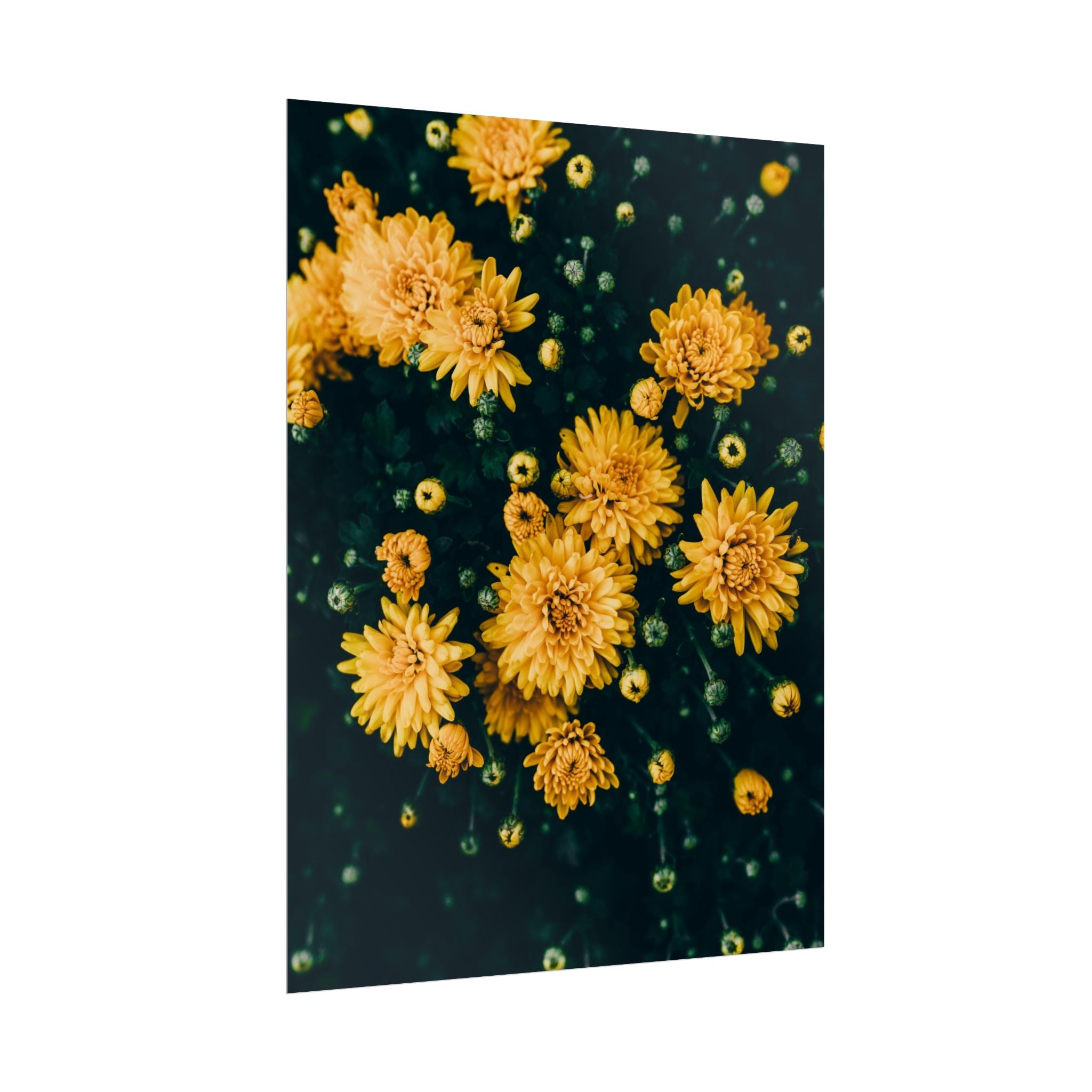 yellow-flower-art-poster-print-floral-wall-decor-floral-home-decor-gift-dark-botanical-art-print