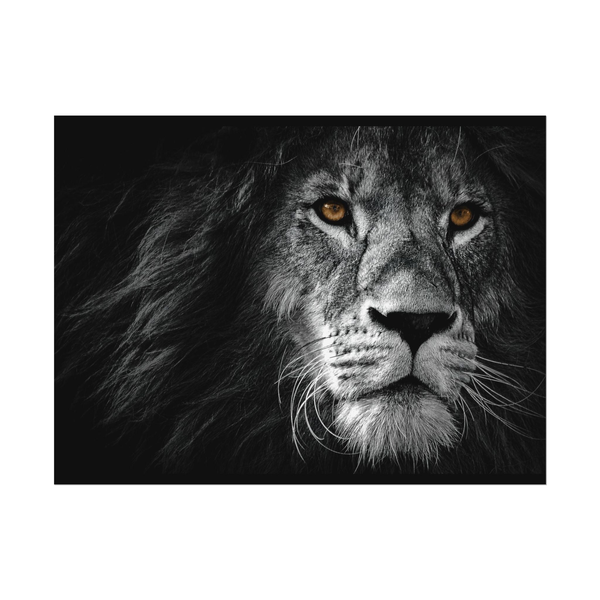 poster-print-lion-wall-art-black-and-white-monochrome-decor-living-room-decor-lion-poster-jungle-animal-art-print-wildlife-sa