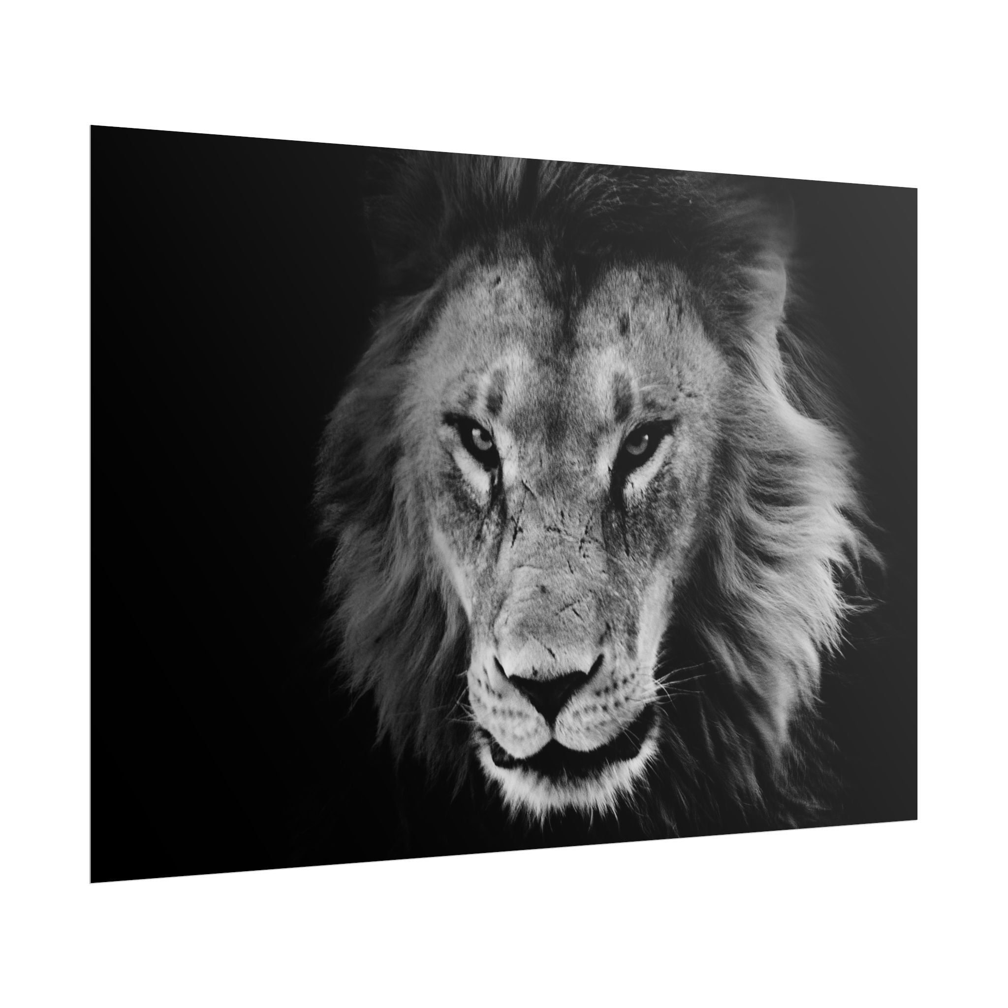poster-print-lion-wall-art-black-and-white-living-room-decor-monochrome-art-lion-poster-jungle-animal-art-print-wildlife-safa