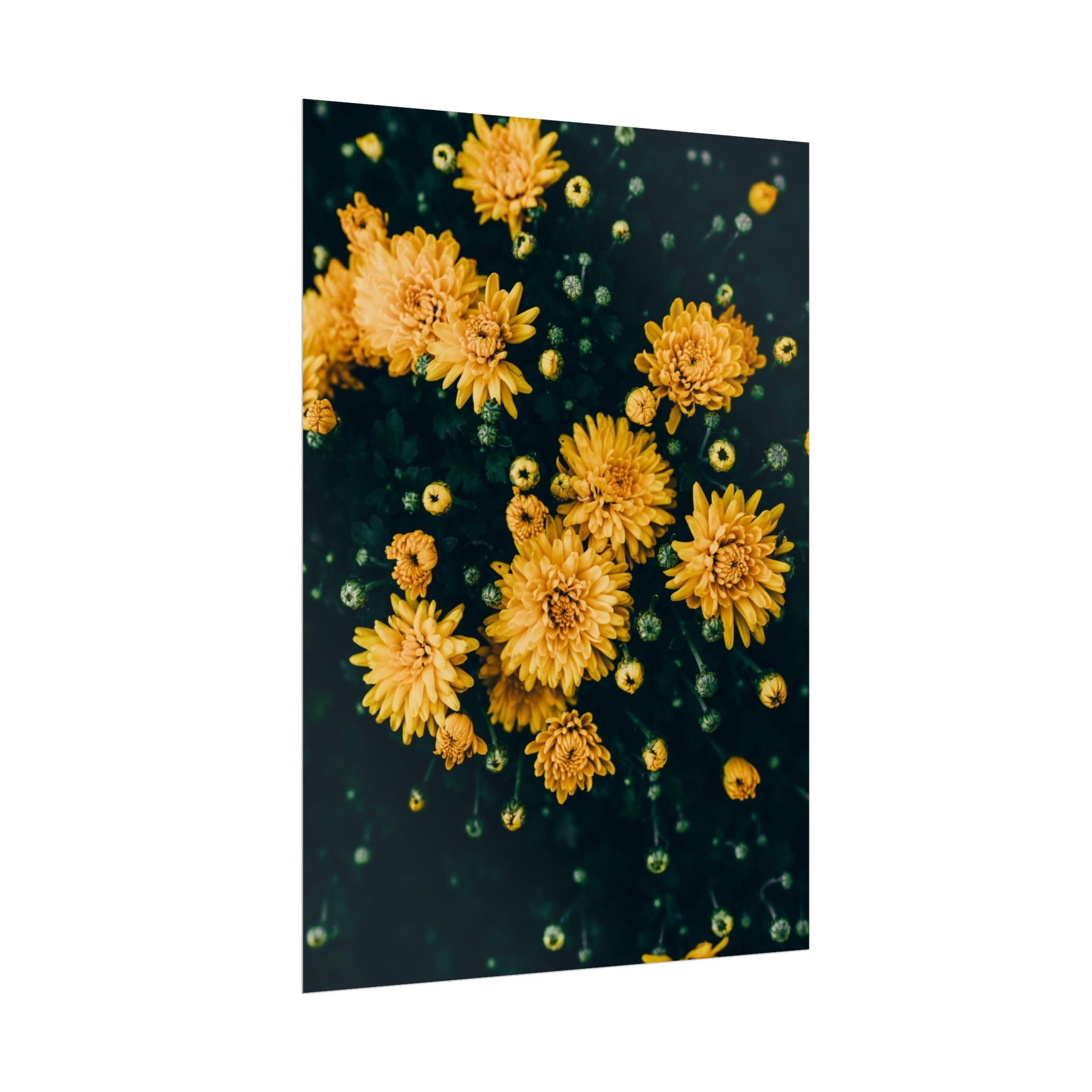 yellow-flower-art-poster-print-floral-wall-decor-floral-home-decor-gift-dark-botanical-art-print