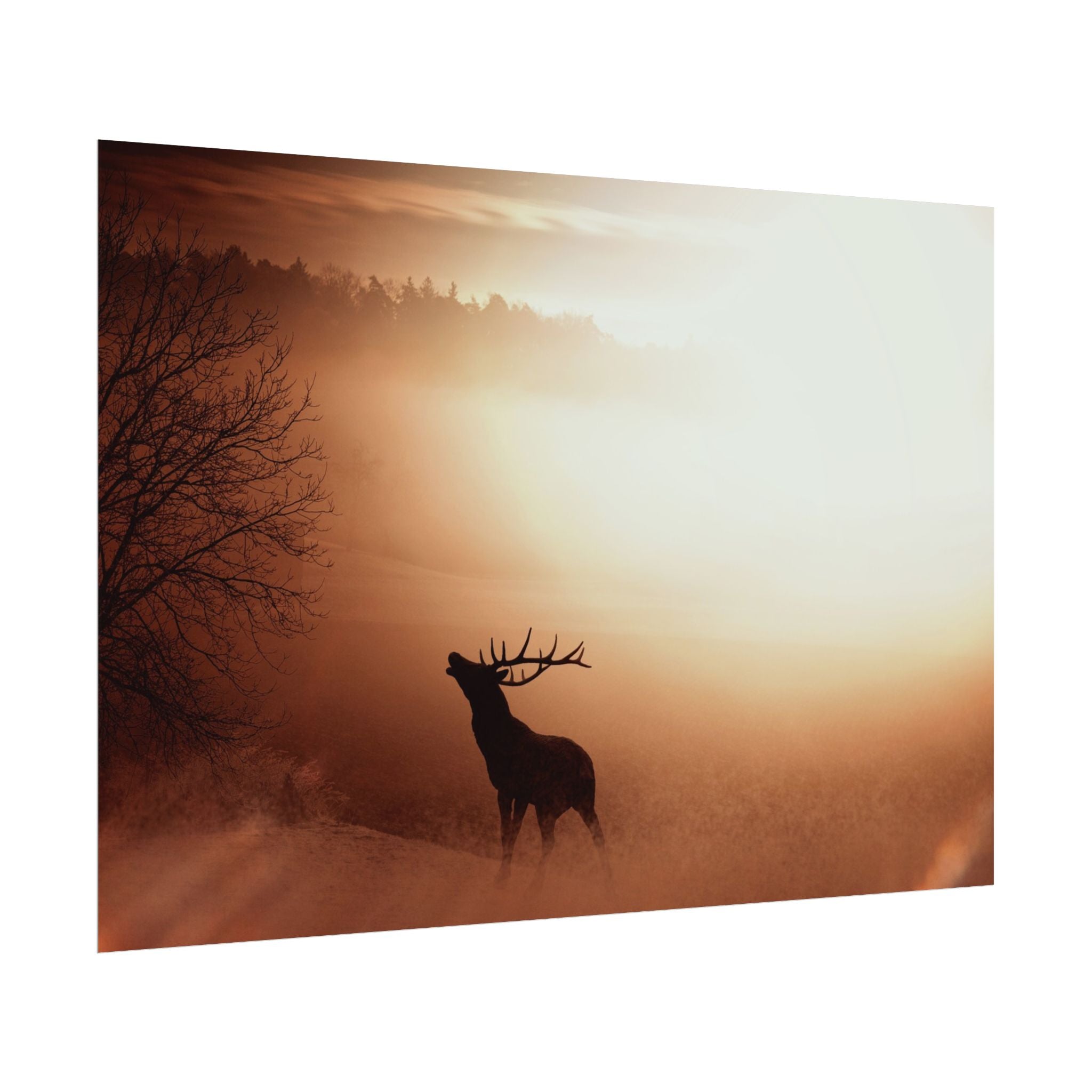 poster-print-elk-in-forest-sunset-scenery-nature-home-decor-animal-wall-art-wildlife-decor-farmhouse-wall-art-elk-prints-post