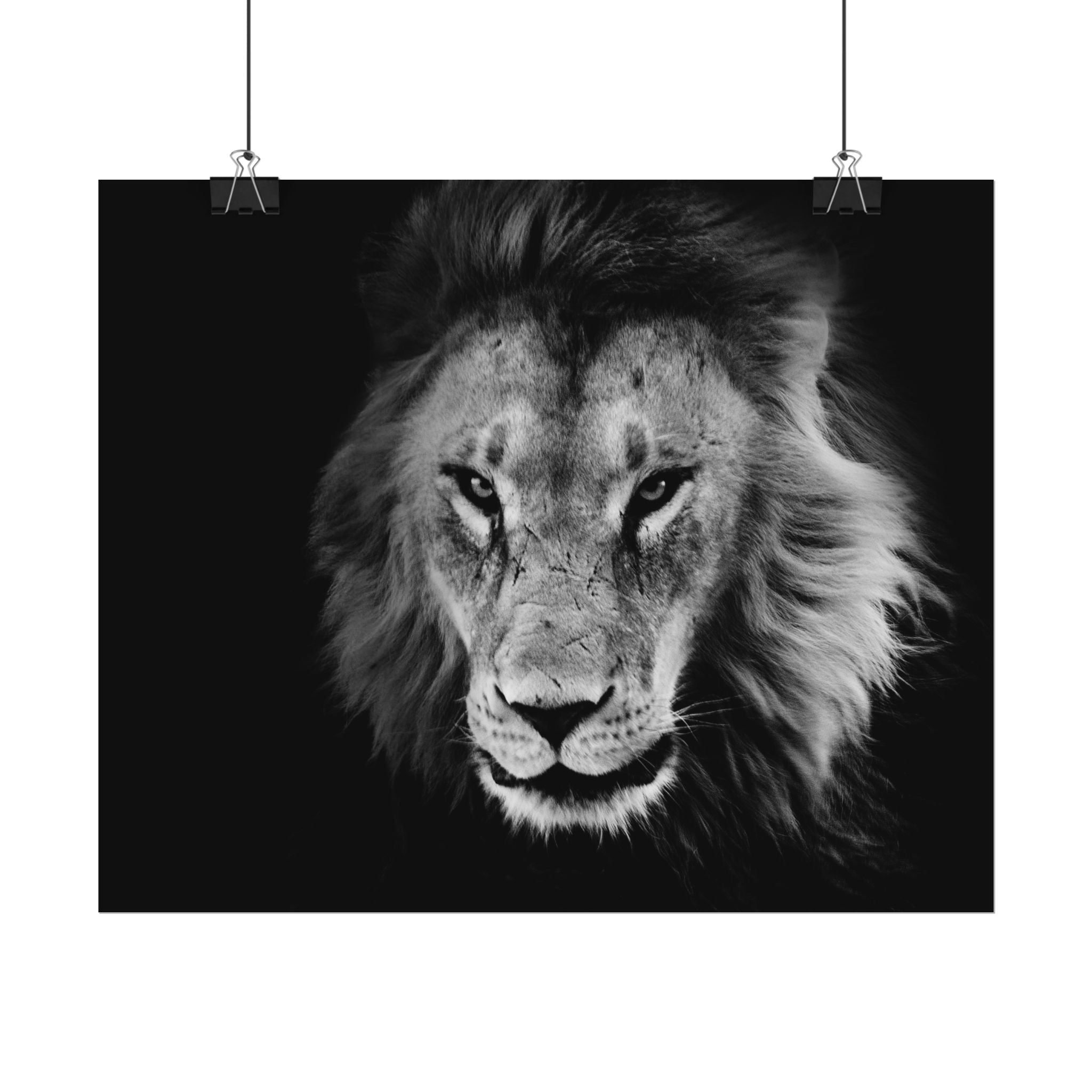 poster-print-lion-wall-art-black-and-white-living-room-decor-monochrome-art-lion-poster-jungle-animal-art-print-wildlife-safa