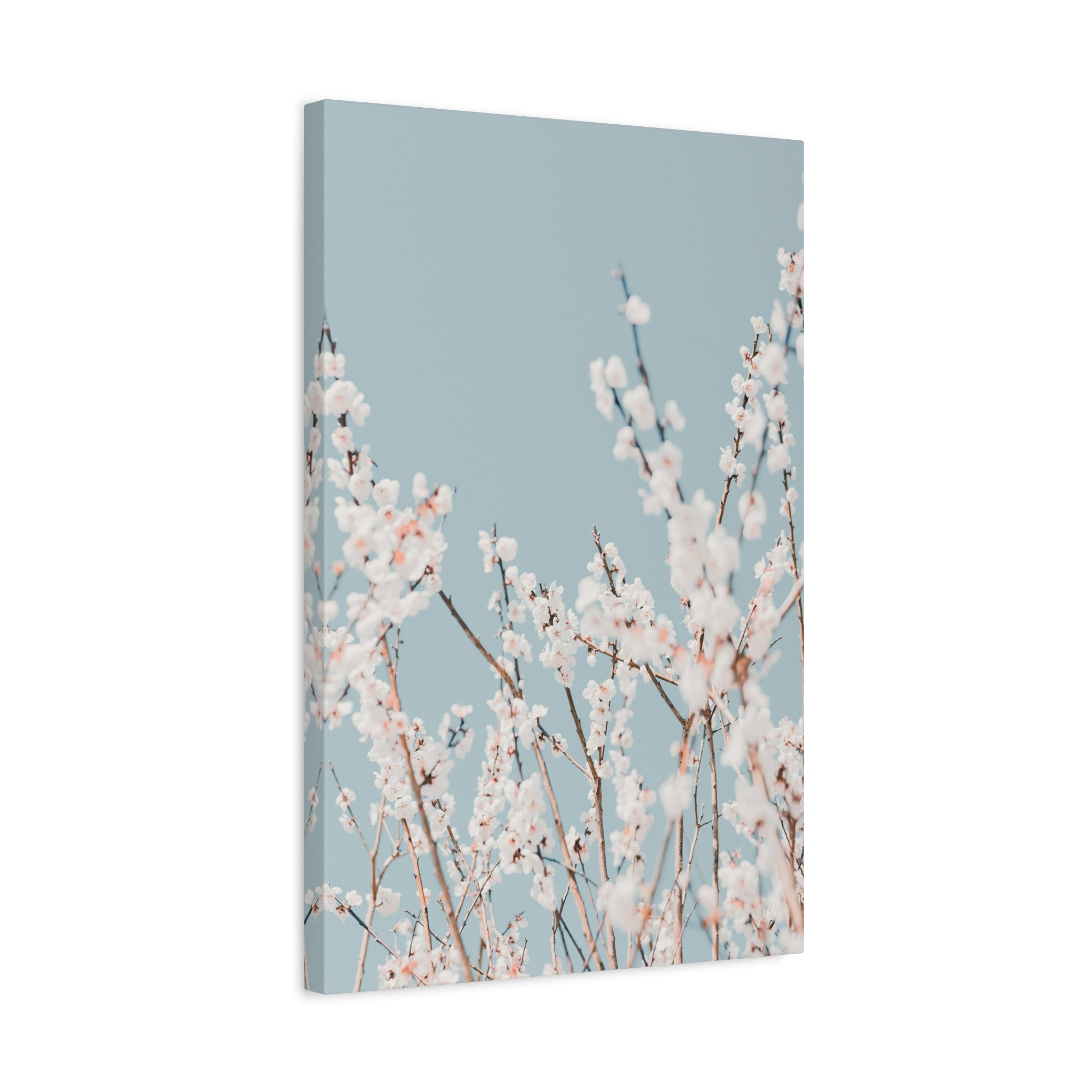 canvas-print-blossom-flowers-minimalist-aesthetic-wall-art-matte-stretched-1-25in-home-decor-floral-decor-elegant-artwork