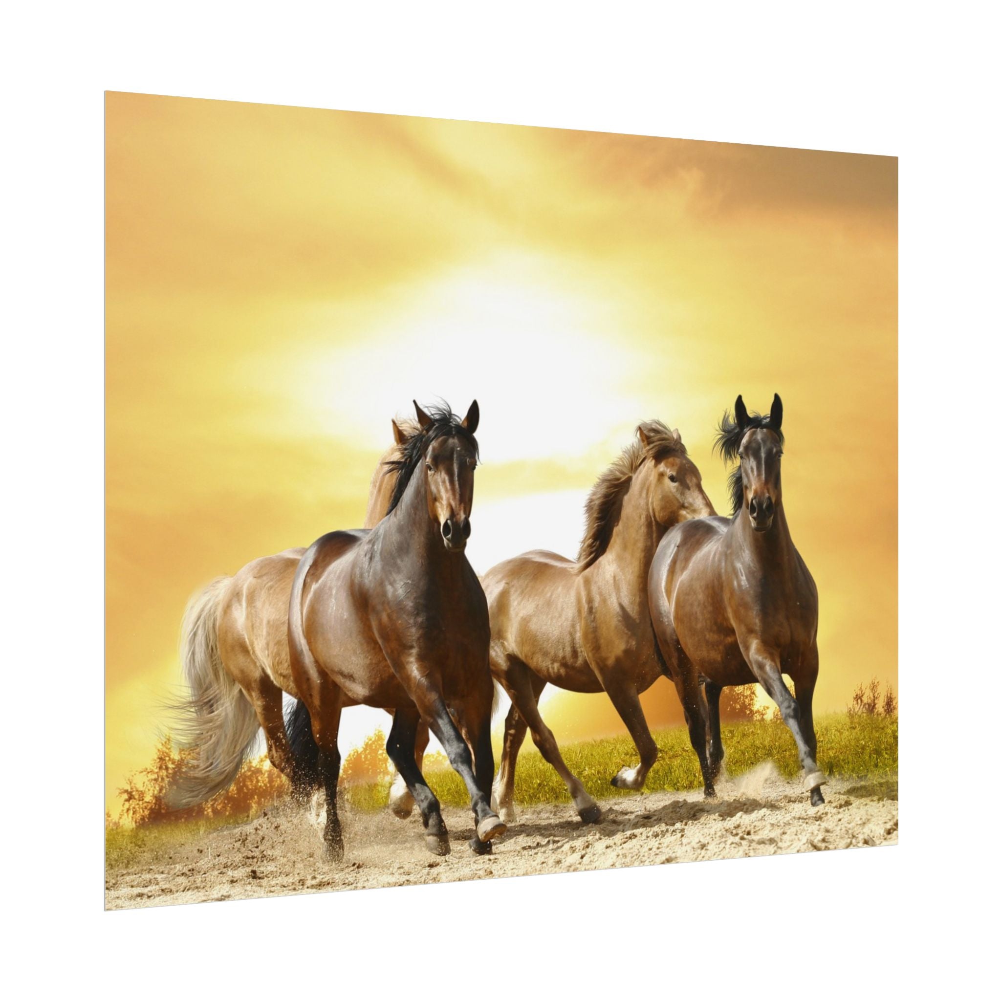 running-horse-poster-wall-art-farmhouse-wall-decor-home-decor-housewarming-gift-horse-print-wall-print-wild-animals