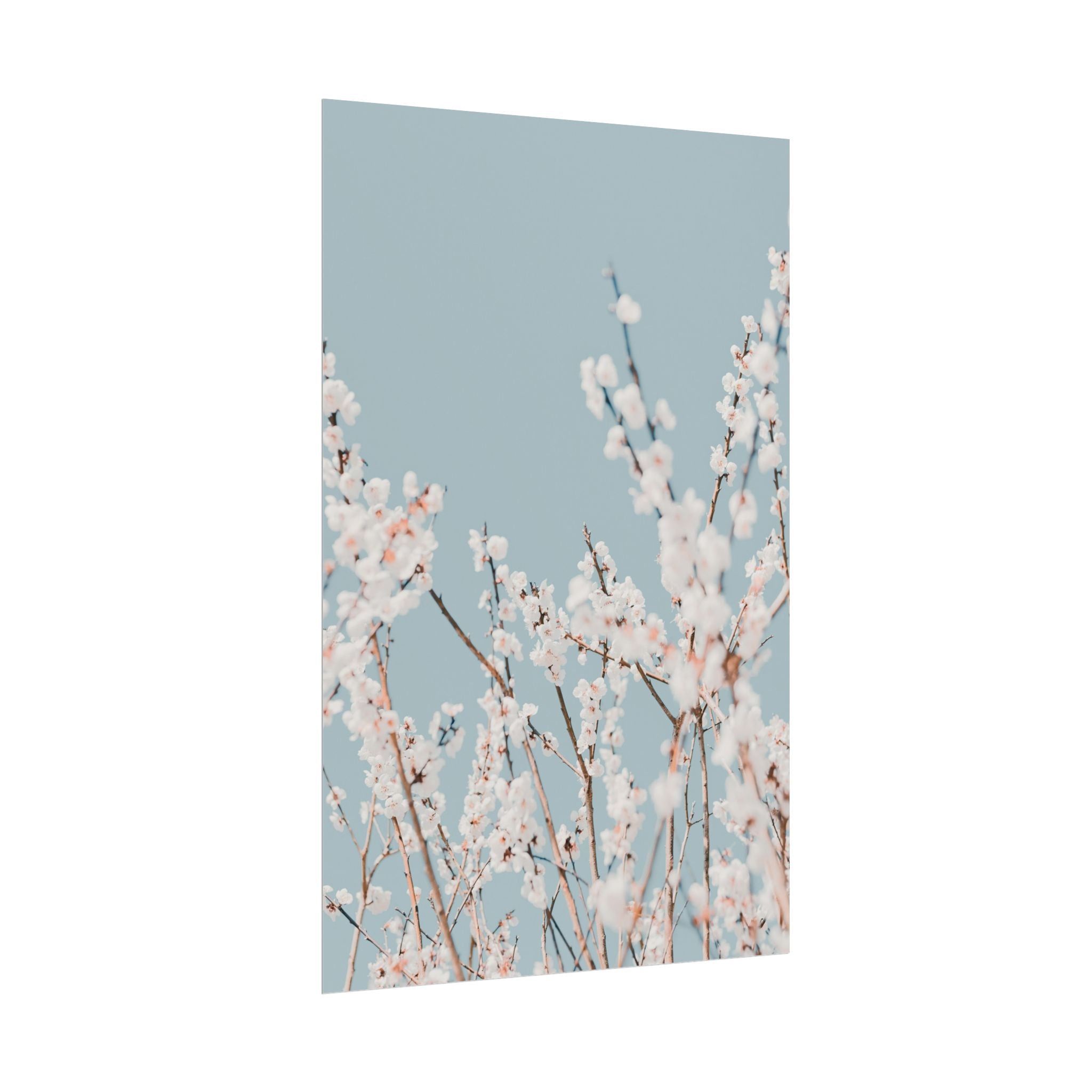 blossom-flowers-poster-print-minimalist-aesthetic-wall-art-fine-art-paper-home-decor-floral-decor-elegant-artwork