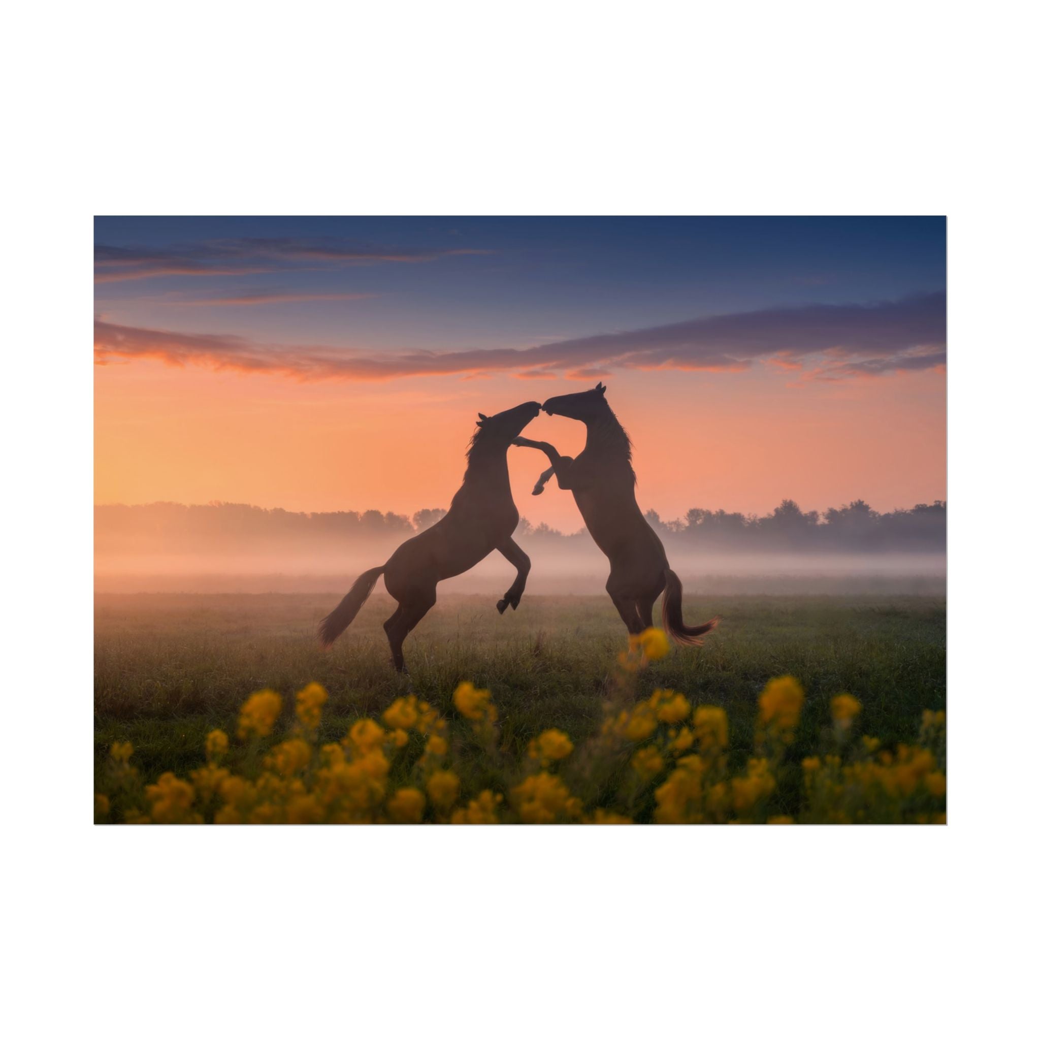 wild-rising-horses-poster-print-field-of-flowers-decor-home-decor-farmhouse-wall-decor-nature-wall-art-horse-Poster-print-mus