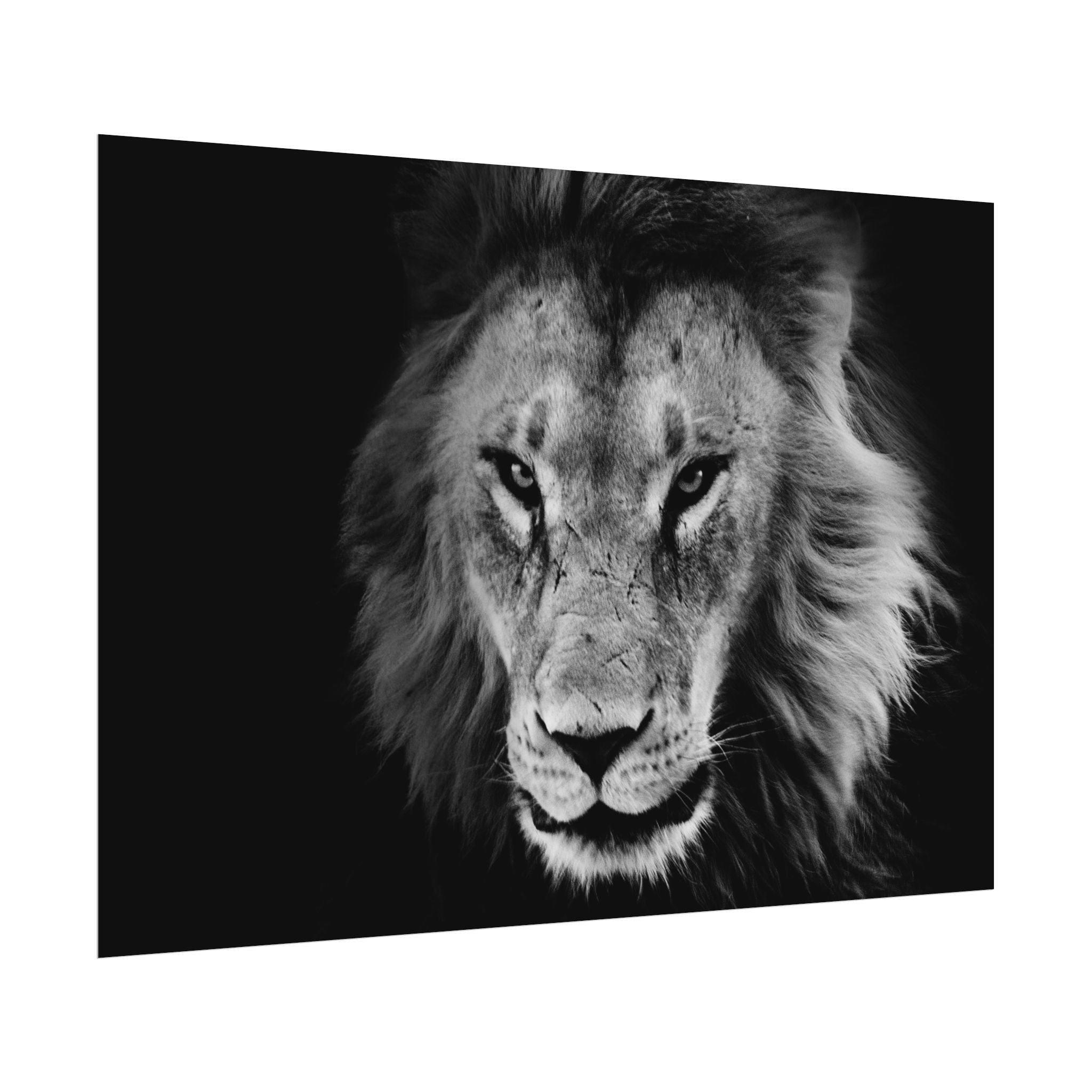 poster-print-lion-wall-art-black-and-white-living-room-decor-monochrome-art-lion-poster-jungle-animal-art-print-wildlife-safa