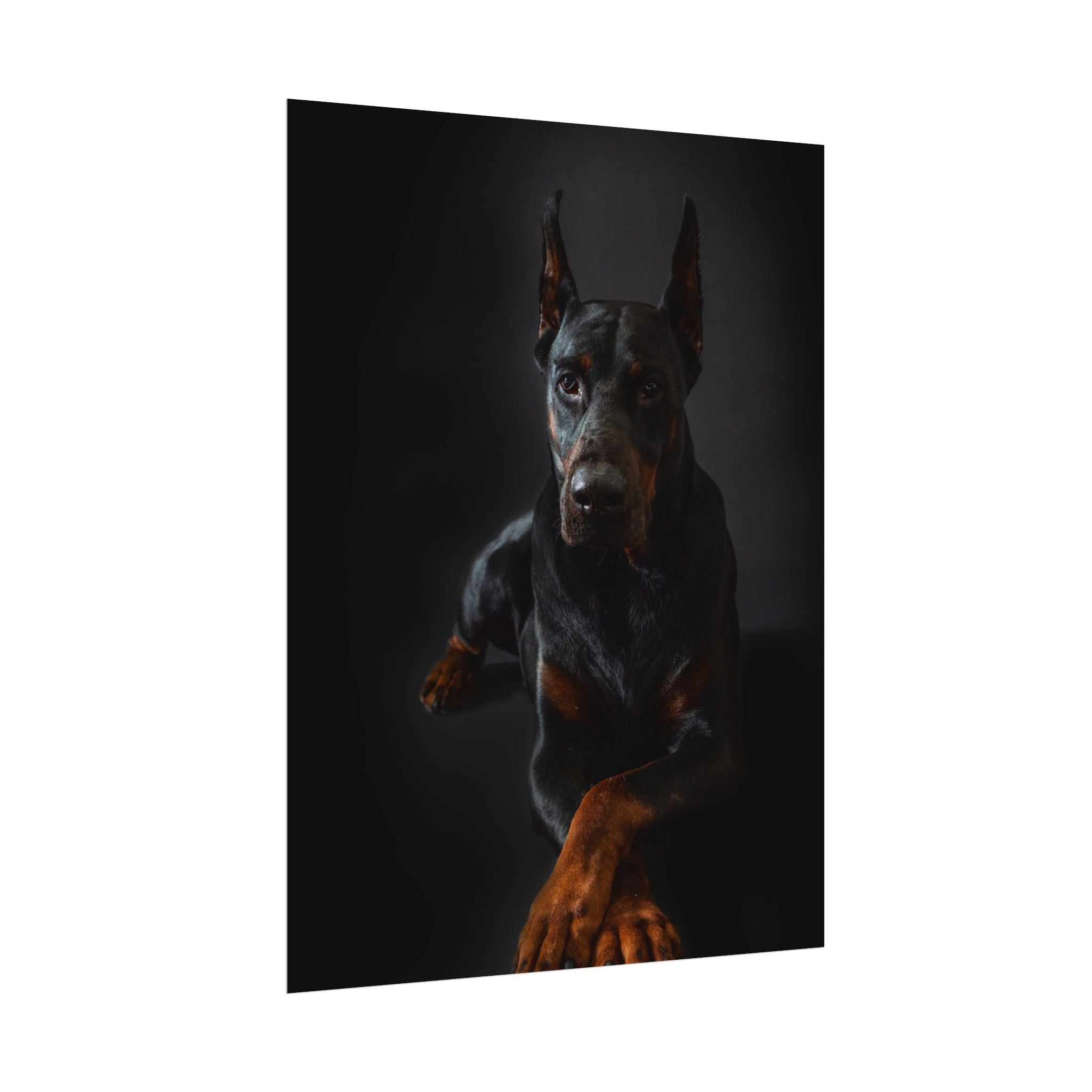 doberman-pincher-poster-print-rolled-posters-wall-art-home-decor-dog-lover-gift-animal-art-room-decoration