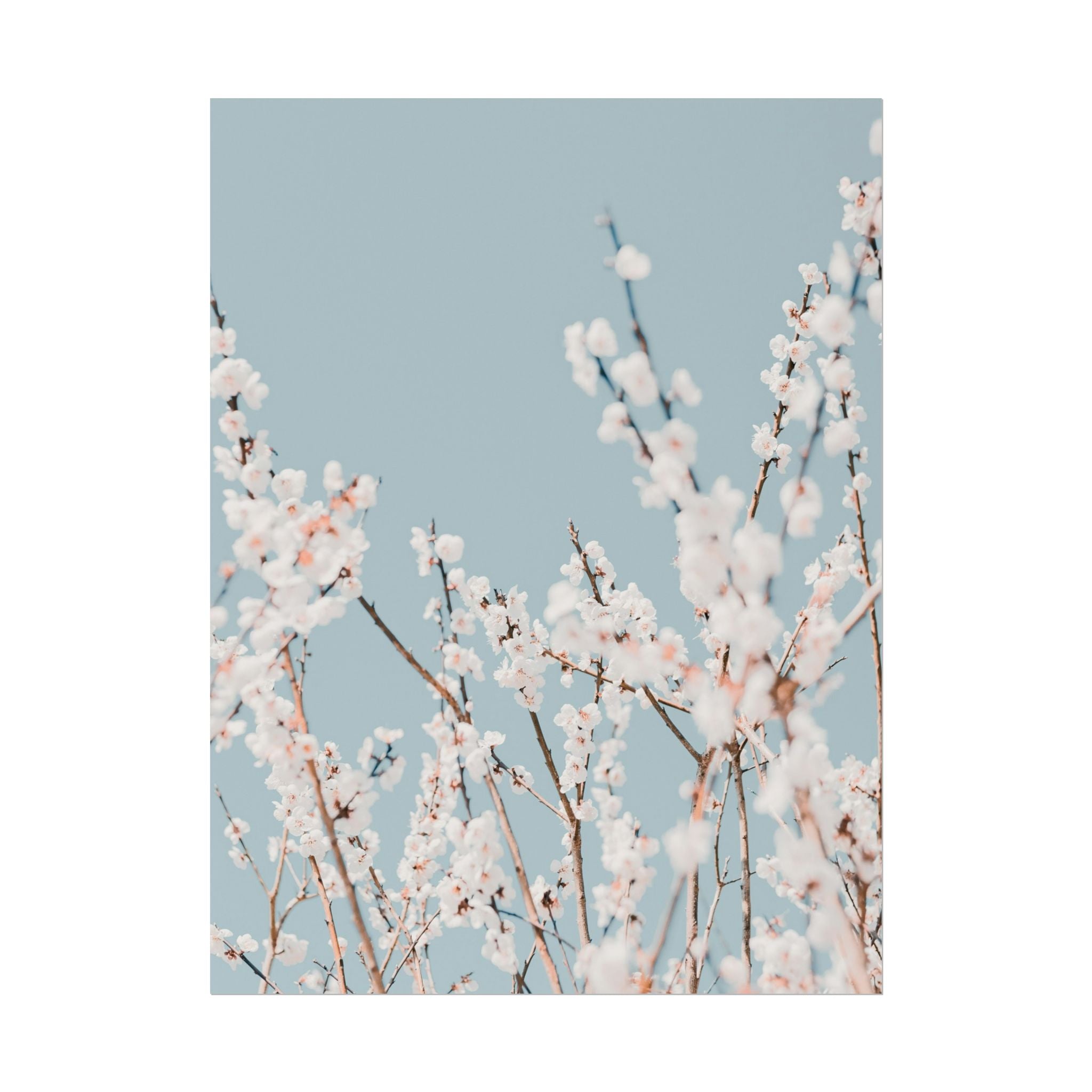 blossom-flowers-poster-print-minimalist-aesthetic-wall-art-fine-art-paper-home-decor-floral-decor-elegant-artwork