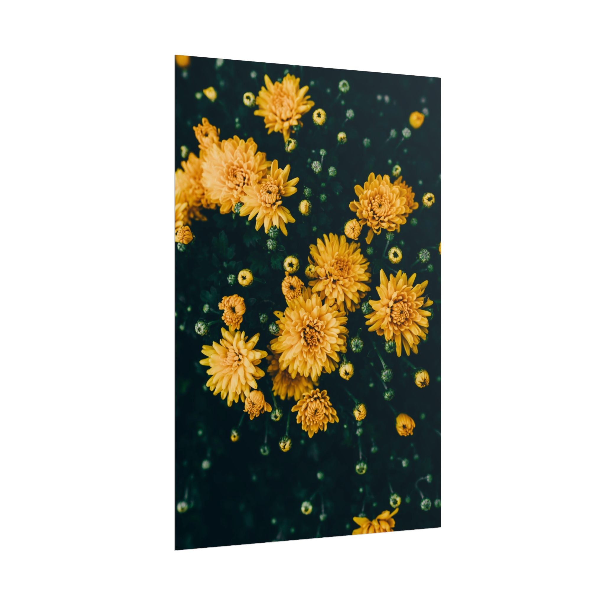 yellow-flower-art-poster-print-floral-wall-decor-floral-home-decor-gift-dark-botanical-art-print