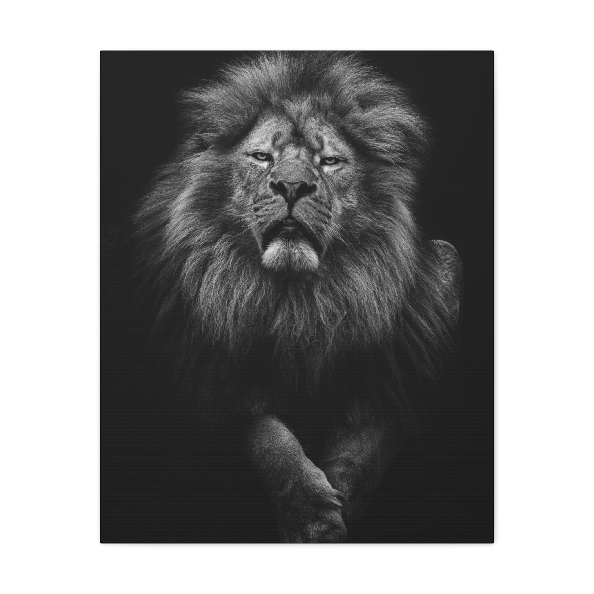 canvas-print-lion-wall-art-black-and-white-living-room-decor-matte-stretched-lion-poster-jungle-animal-art-print-wildlife-saf