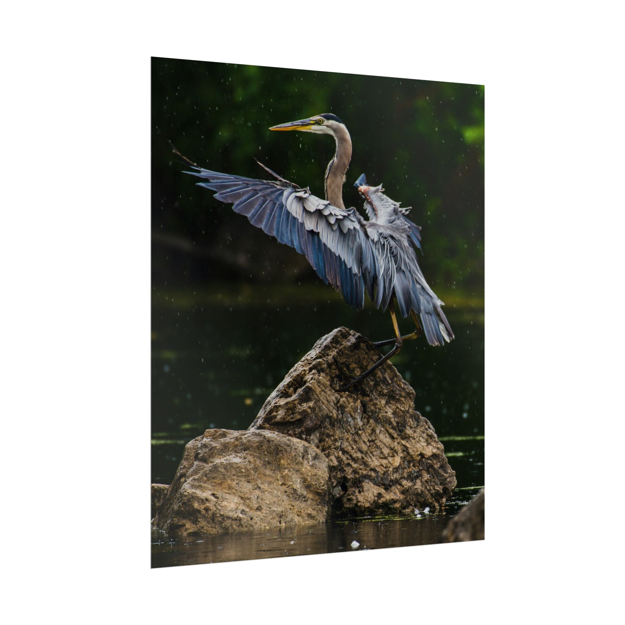 great-blue-heron-poster-wall-art-home-decor-bird-lover-gift-nature-wall-hanging-wildlife-poster
