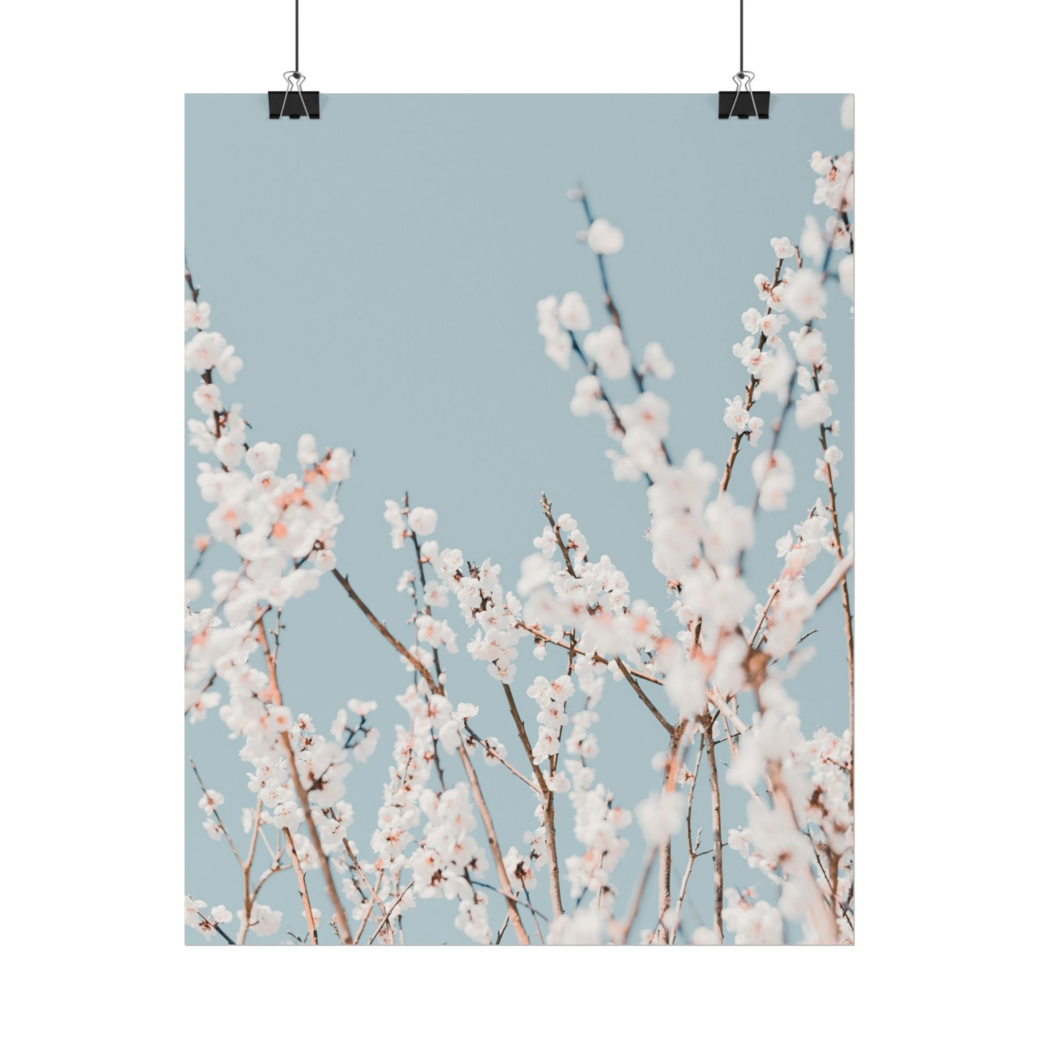 blossom-flowers-poster-print-minimalist-aesthetic-wall-art-fine-art-paper-home-decor-floral-decor-elegant-artwork