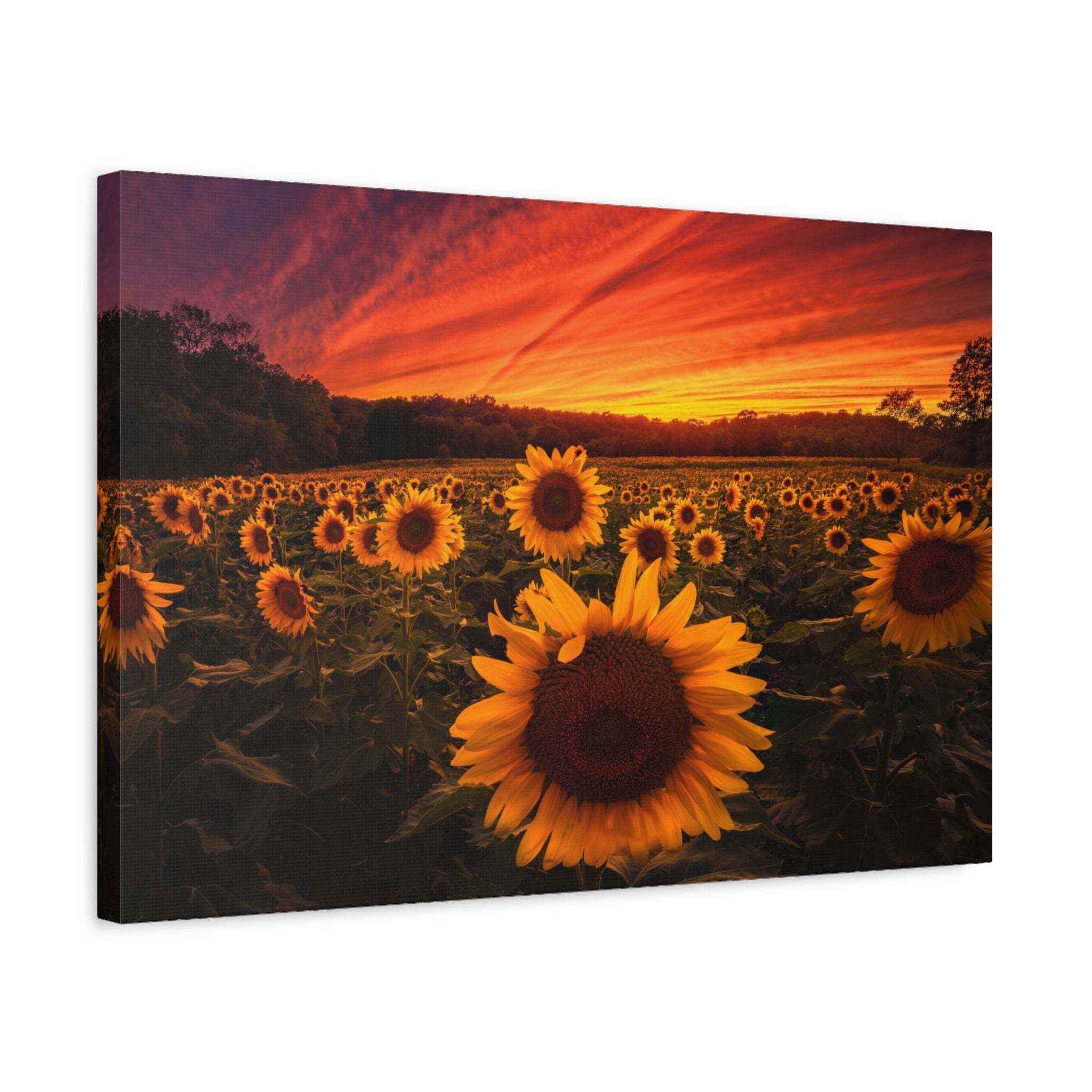 canvas-print-sun-flower-sunset-wall-art-decor-home-decor-nature-art-floral-print-gift-for-nature-lovers-farmhouse-wall-decor