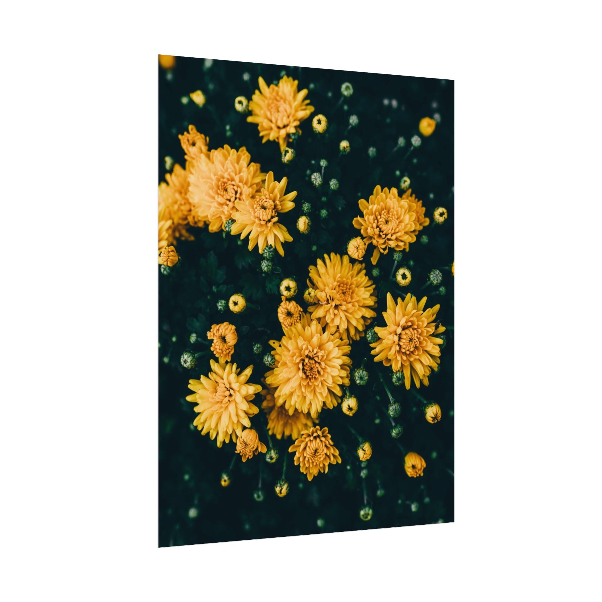 yellow-flower-art-poster-print-floral-wall-decor-floral-home-decor-gift-dark-botanical-art-print