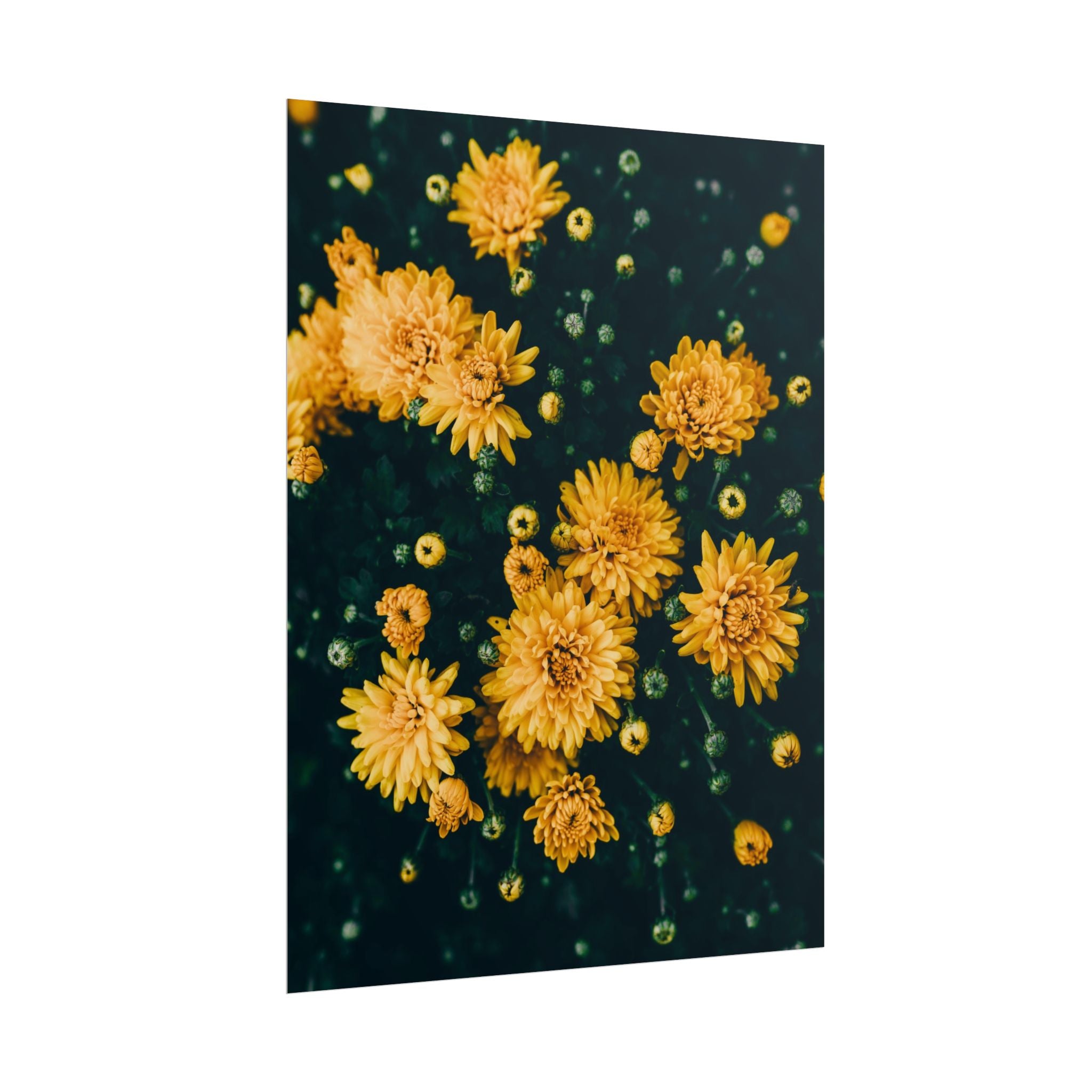 yellow-flower-art-poster-print-floral-wall-decor-floral-home-decor-gift-dark-botanical-art-print