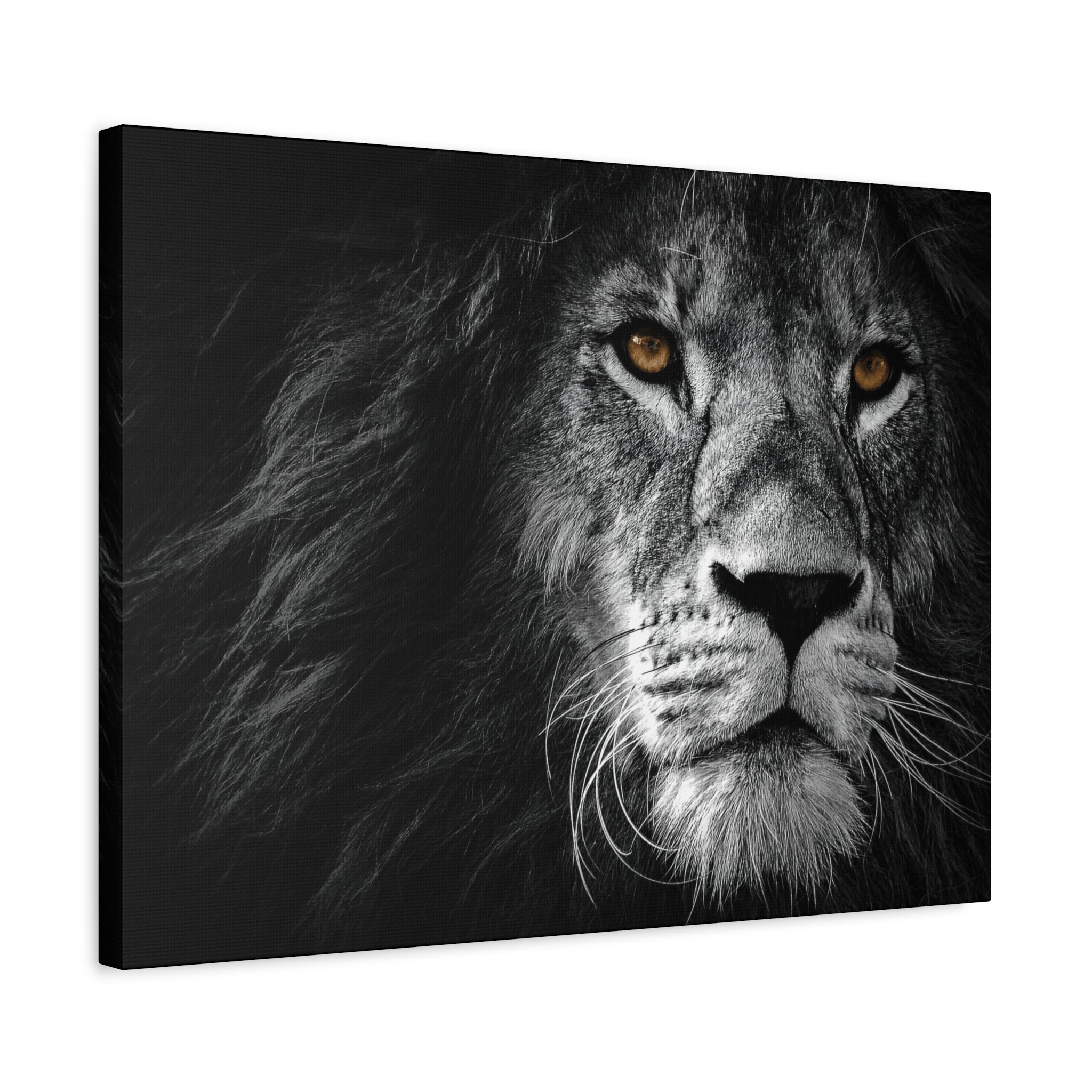 canvas-print-lion-wall-art-black-and-white-living-room-decor-matte-stretched-lion-poster-jungle-animal-art-print-wildlife-saf