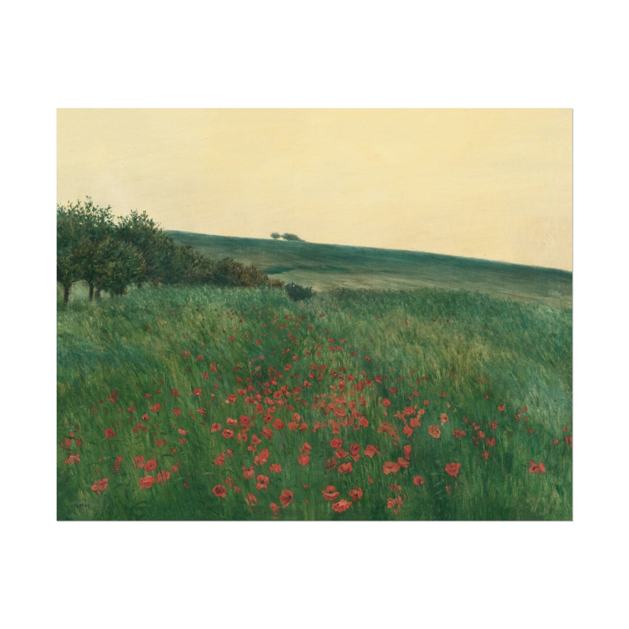 Frantisek Kavan, Fields Poster Print, Fields Landscape Painting, Red Poppies, Rustic Canvas Wall Art, Farmhouse Wall Decor