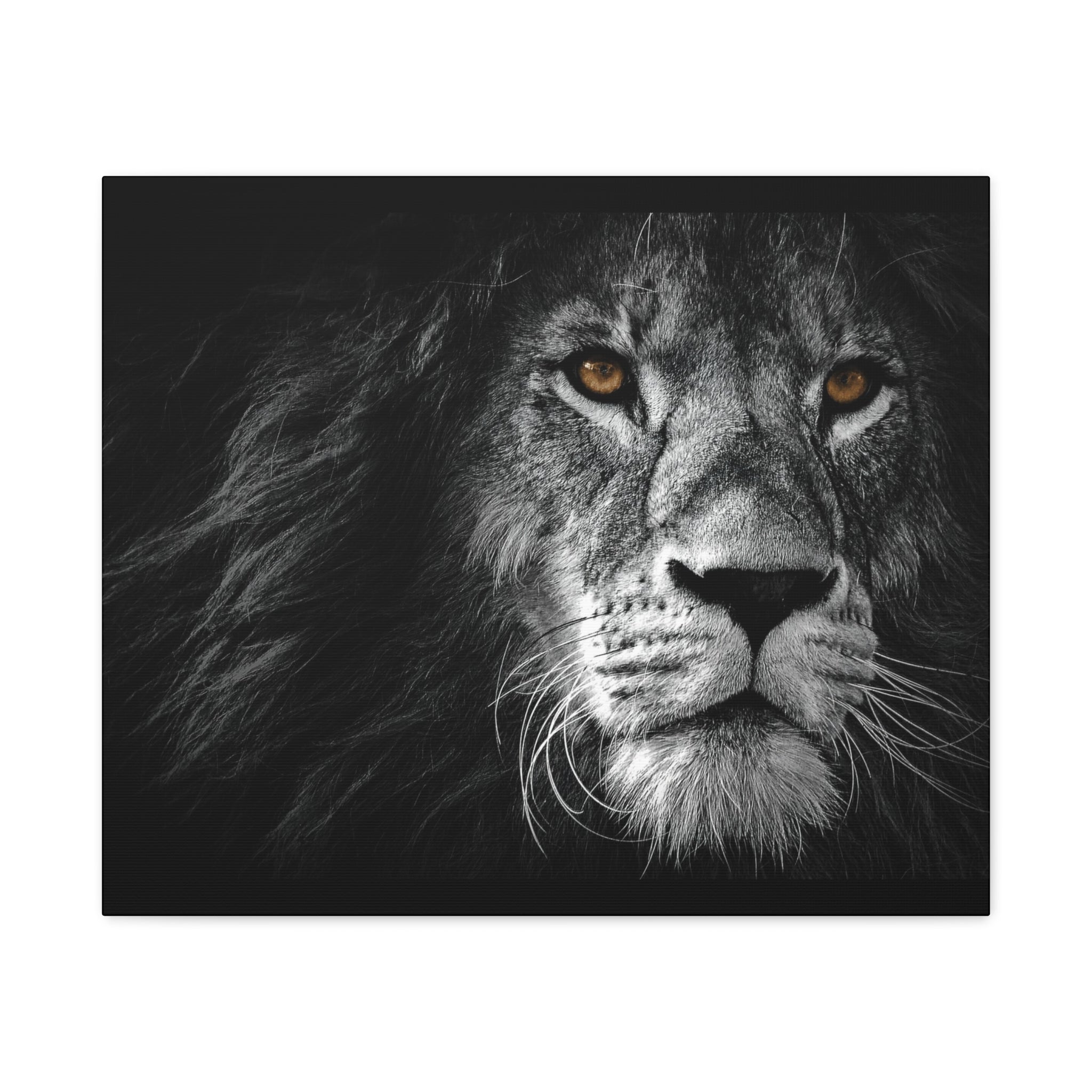 canvas-print-lion-wall-art-black-and-white-living-room-decor-matte-stretched-lion-poster-jungle-animal-art-print-wildlife-saf