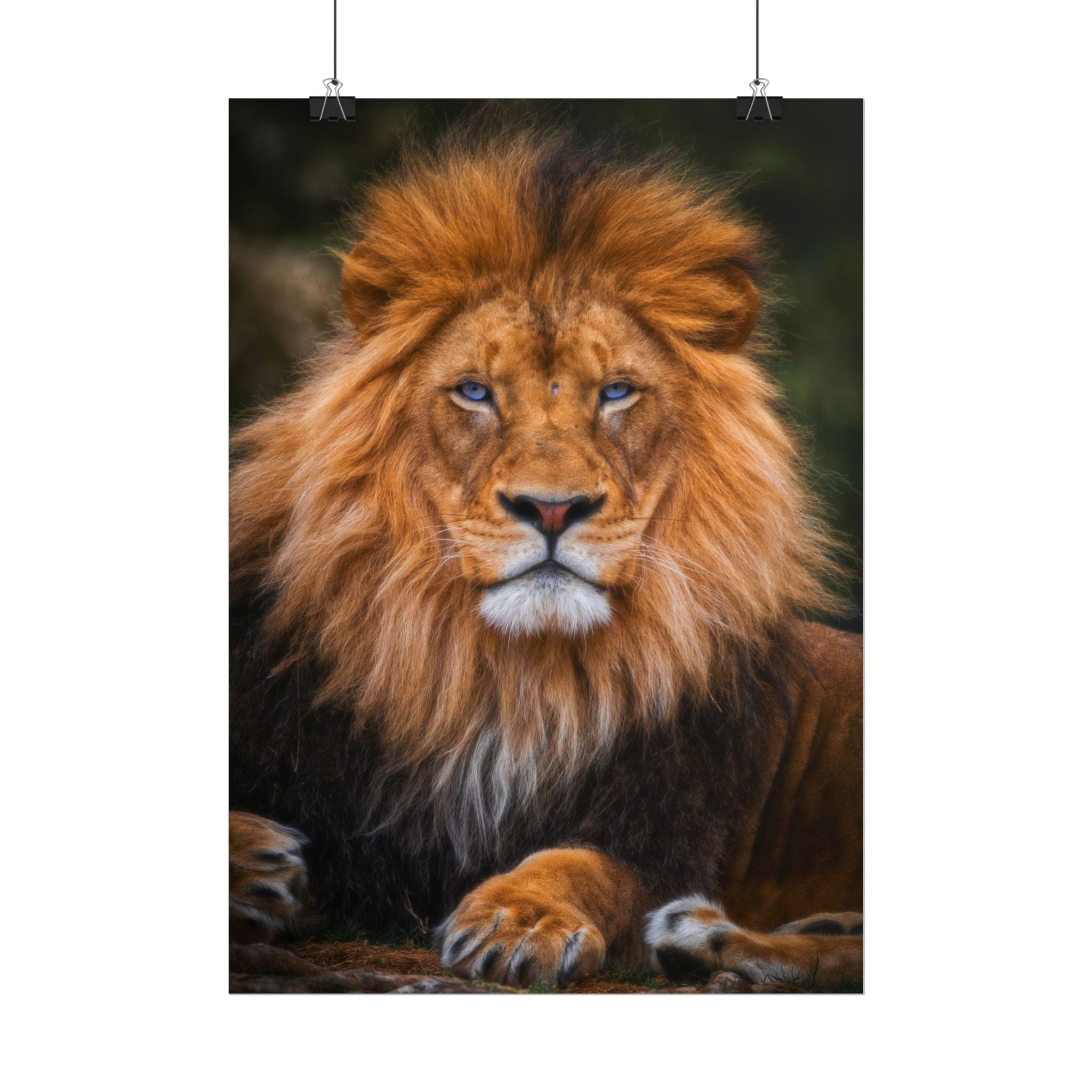 blue-eyed-lion-poster-wall-art-wildlife-home-decor-animal-lover-gift-safari-decoration-wildlife-art-print-lion-wall-decor
