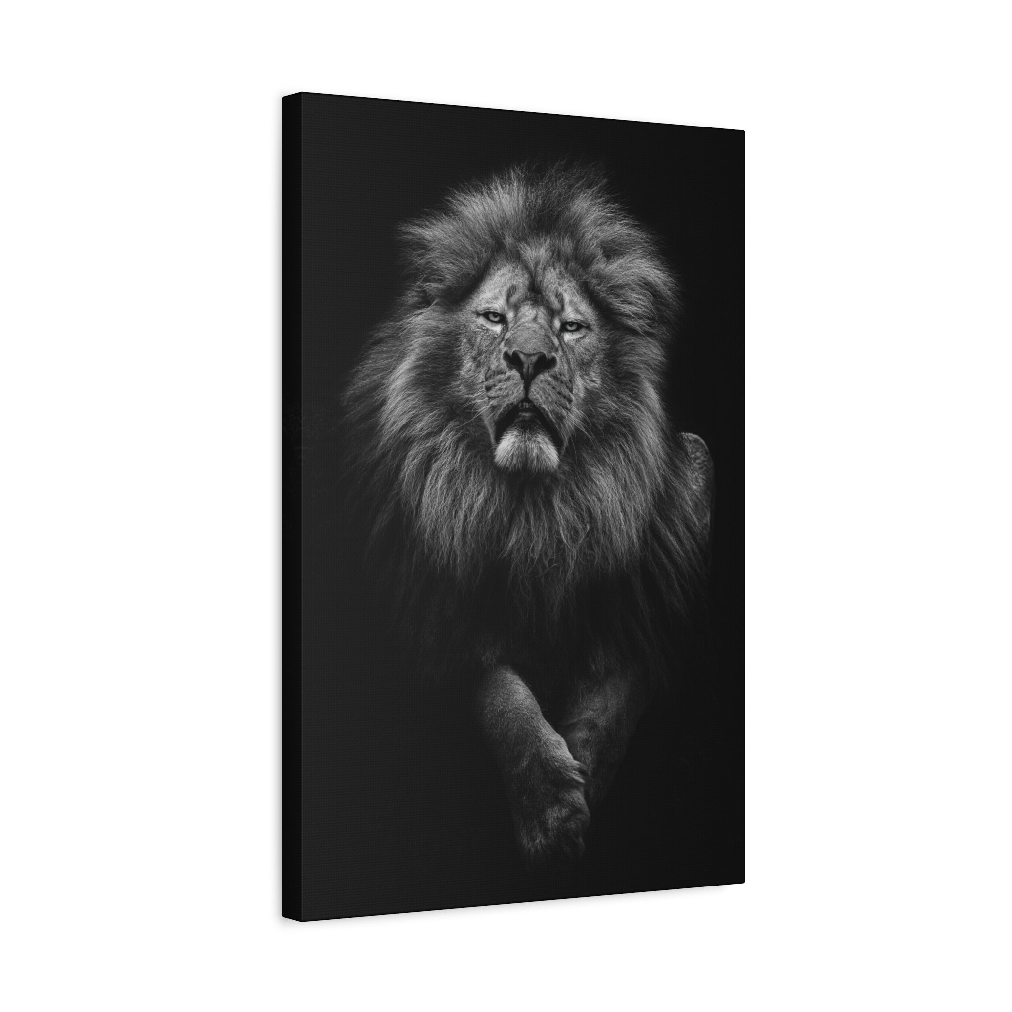 canvas-print-lion-wall-art-black-and-white-living-room-decor-matte-stretched-lion-poster-jungle-animal-art-print-wildlife-saf
