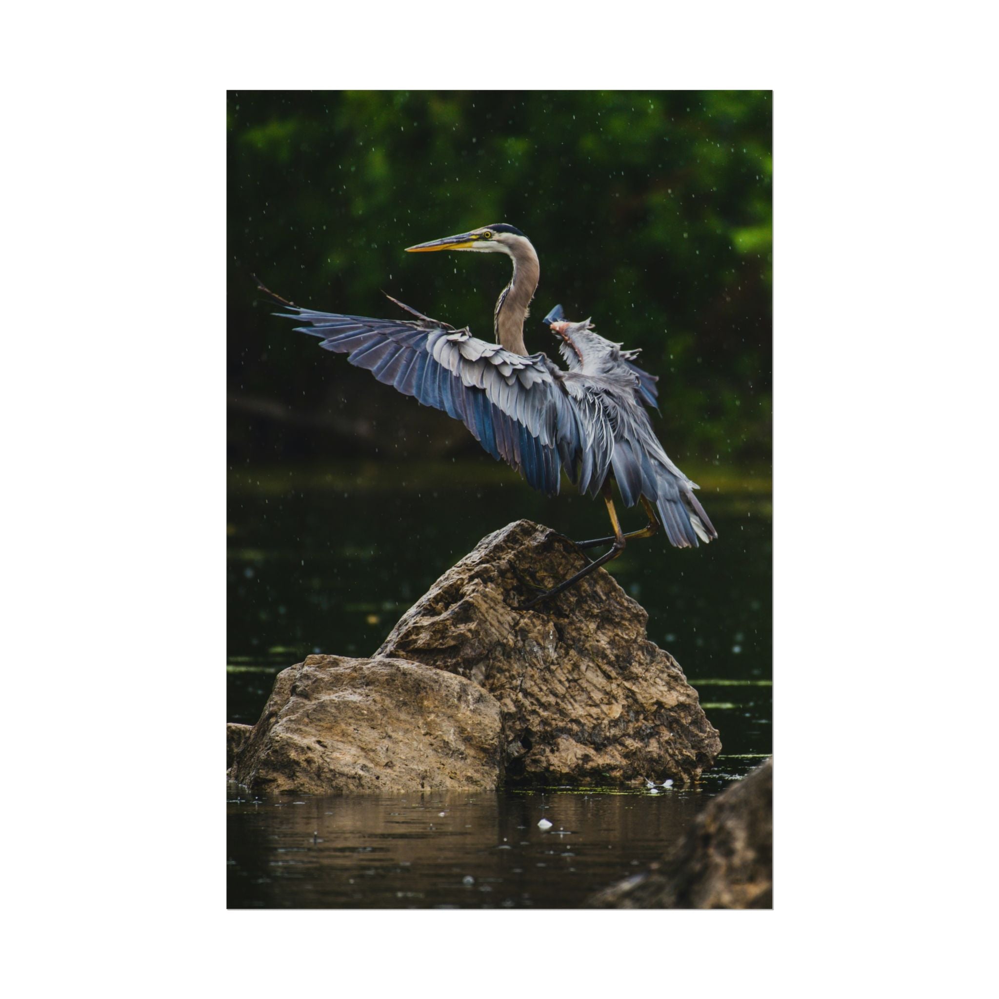great-blue-heron-poster-wall-art-home-decor-bird-lover-gift-nature-wall-hanging-wildlife-poster