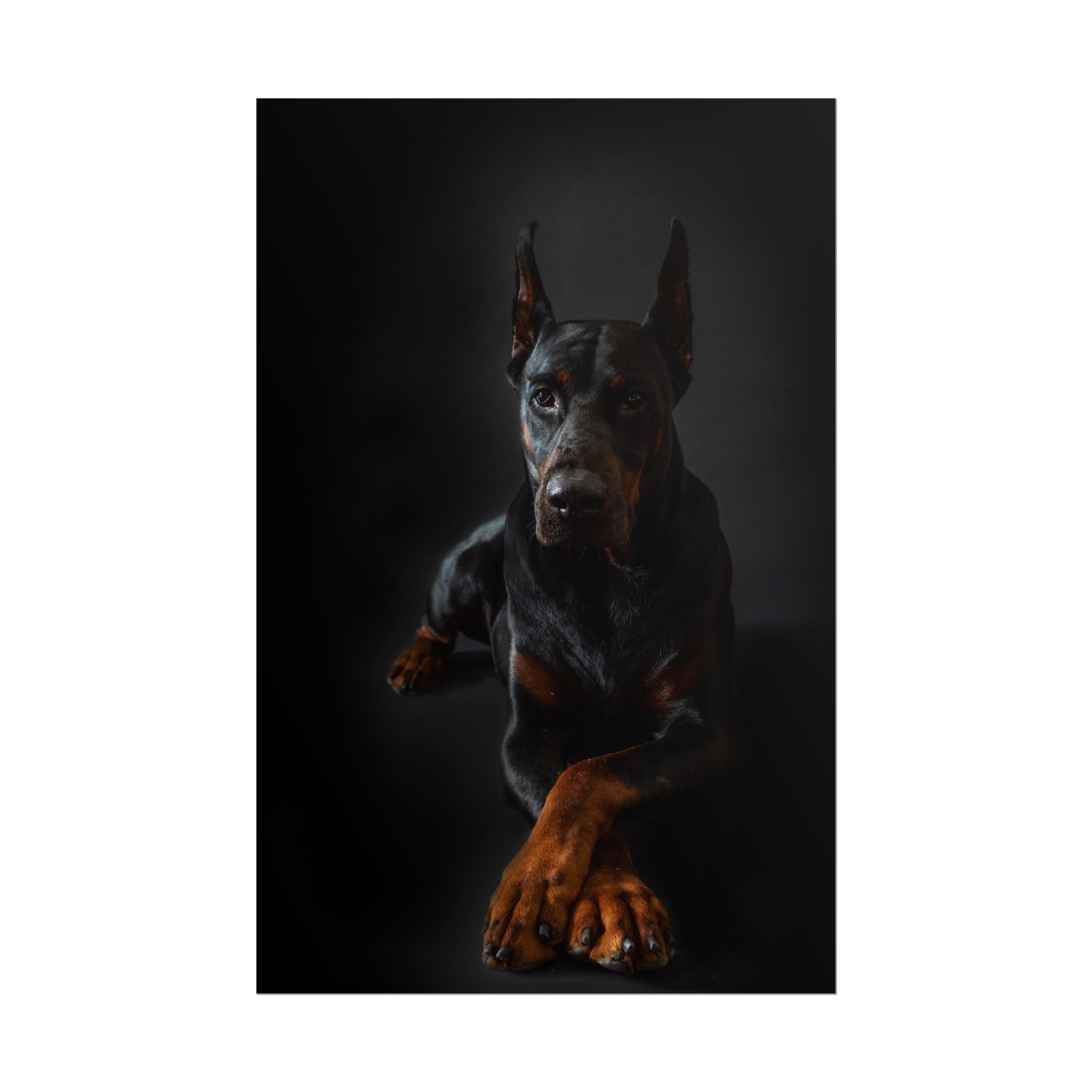 doberman-pincher-poster-print-rolled-posters-wall-art-home-decor-dog-lover-gift-animal-art-room-decoration
