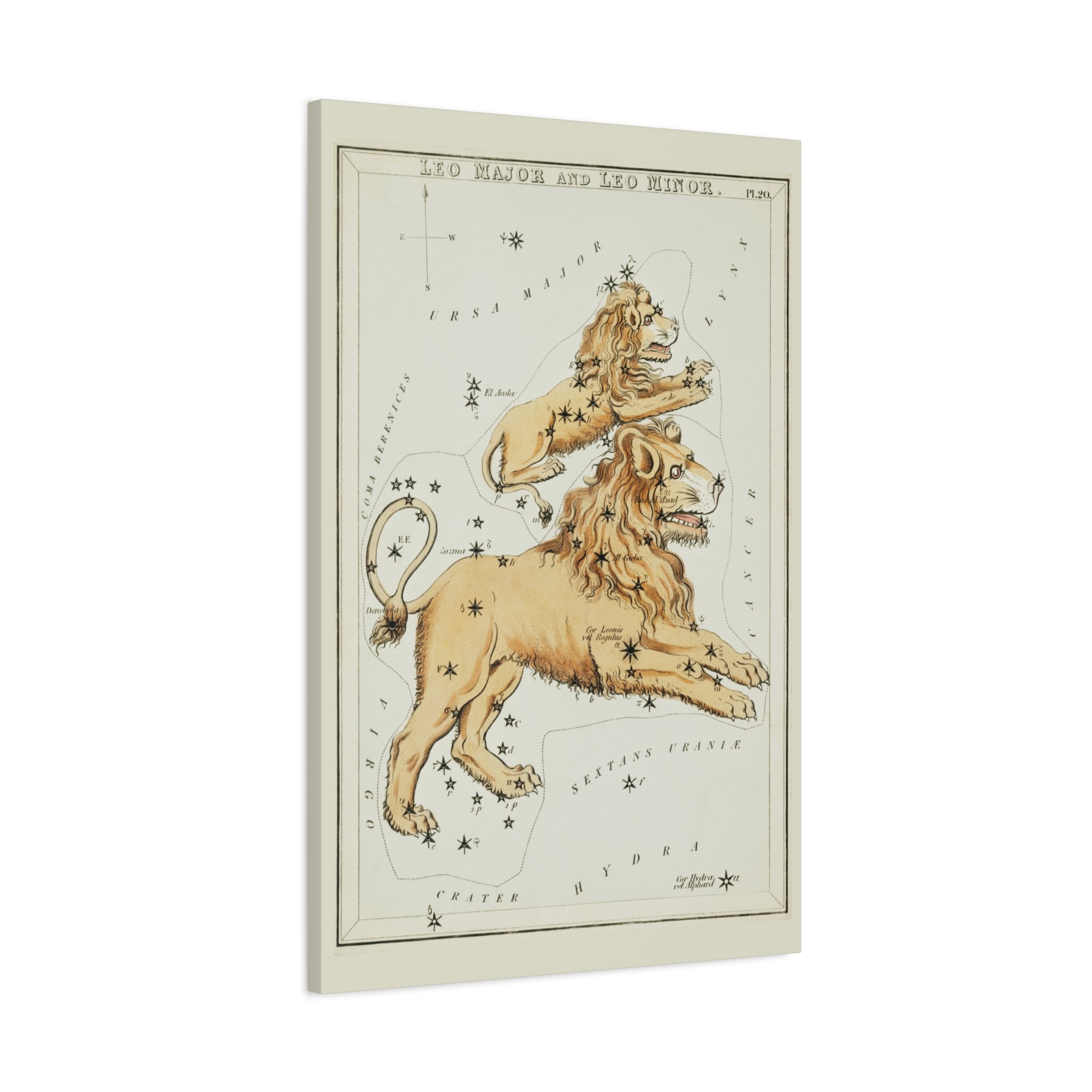canvas-print-star-map-leo-major-leo-minor-celestial-gift-vintage-map-celestial-map-wall-art-decor-astronomy-decor-constellati