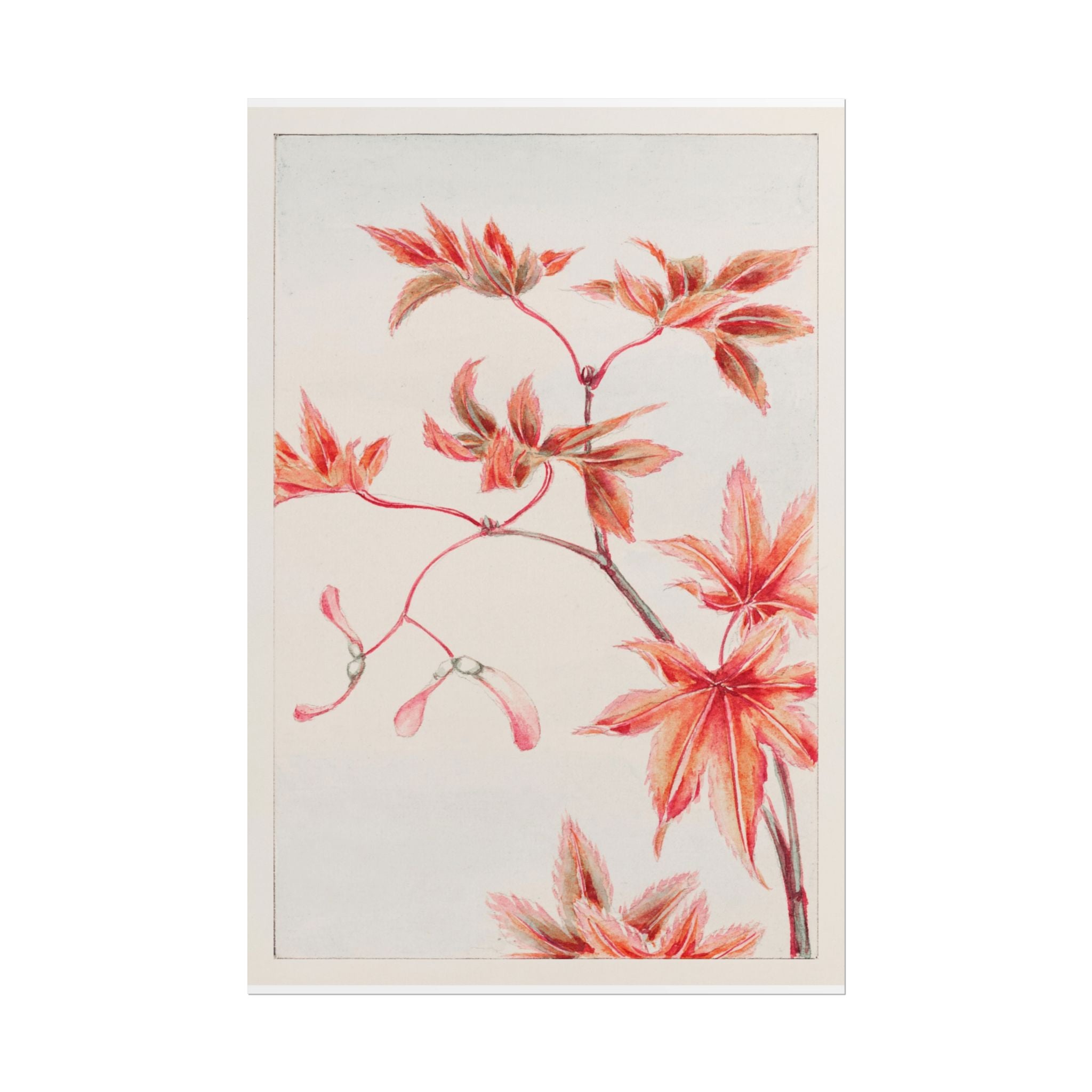 poster-print-branch-of-momiji-maple-tree-with-leaves-floral-wall-art-rolled-posters-wall-decor-room-decoration-nature-art-bot