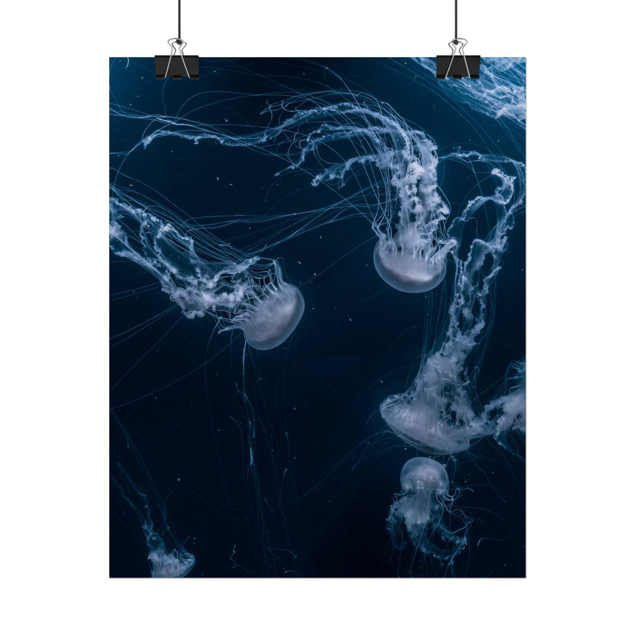 long-jellyfish-wall-art-poster-print-wall-hanging-ocean-life-deep-ocean-decor-home-decor-housewarming-gift