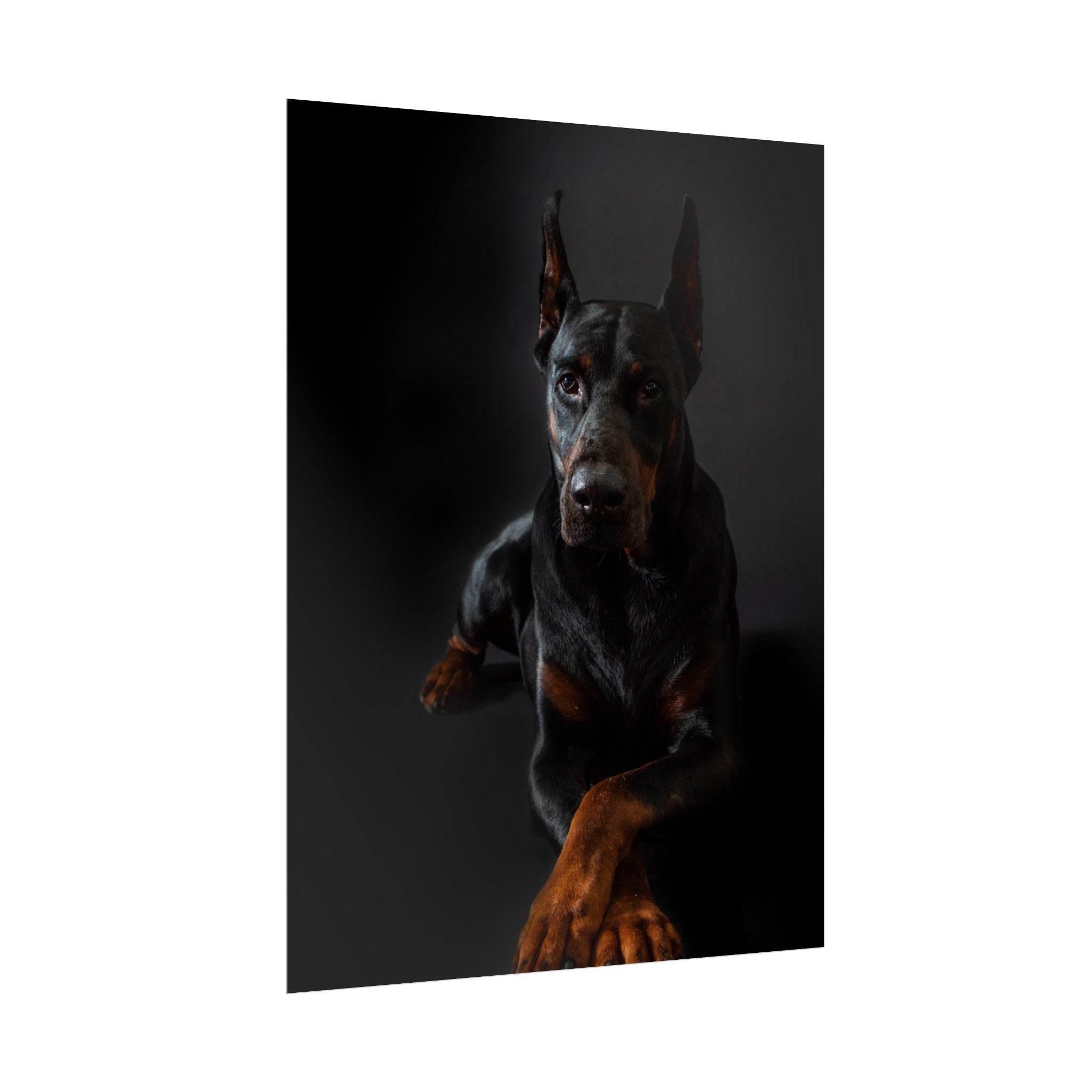 doberman-pincher-poster-print-rolled-posters-wall-art-home-decor-dog-lover-gift-animal-art-room-decoration