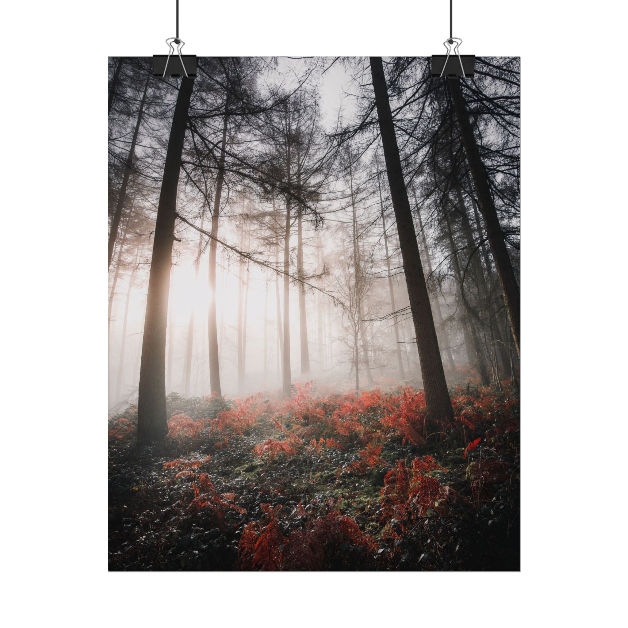 poster-print-misty-woods-art-living-room-wall-decor-sunlight-forest-landscape-aesthetic-nature-art-nature-artwork-poster-gift