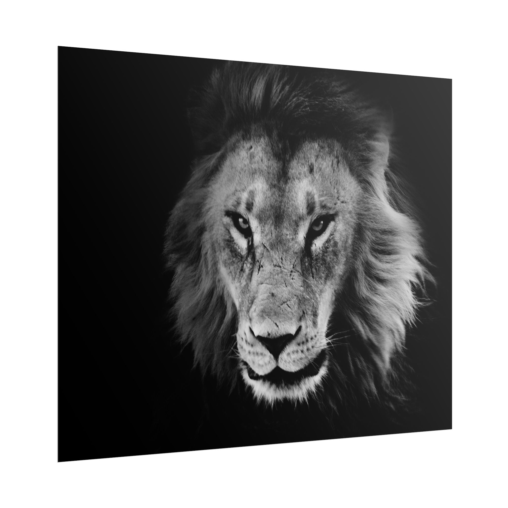 poster-print-lion-wall-art-black-and-white-living-room-decor-monochrome-art-lion-poster-jungle-animal-art-print-wildlife-safa