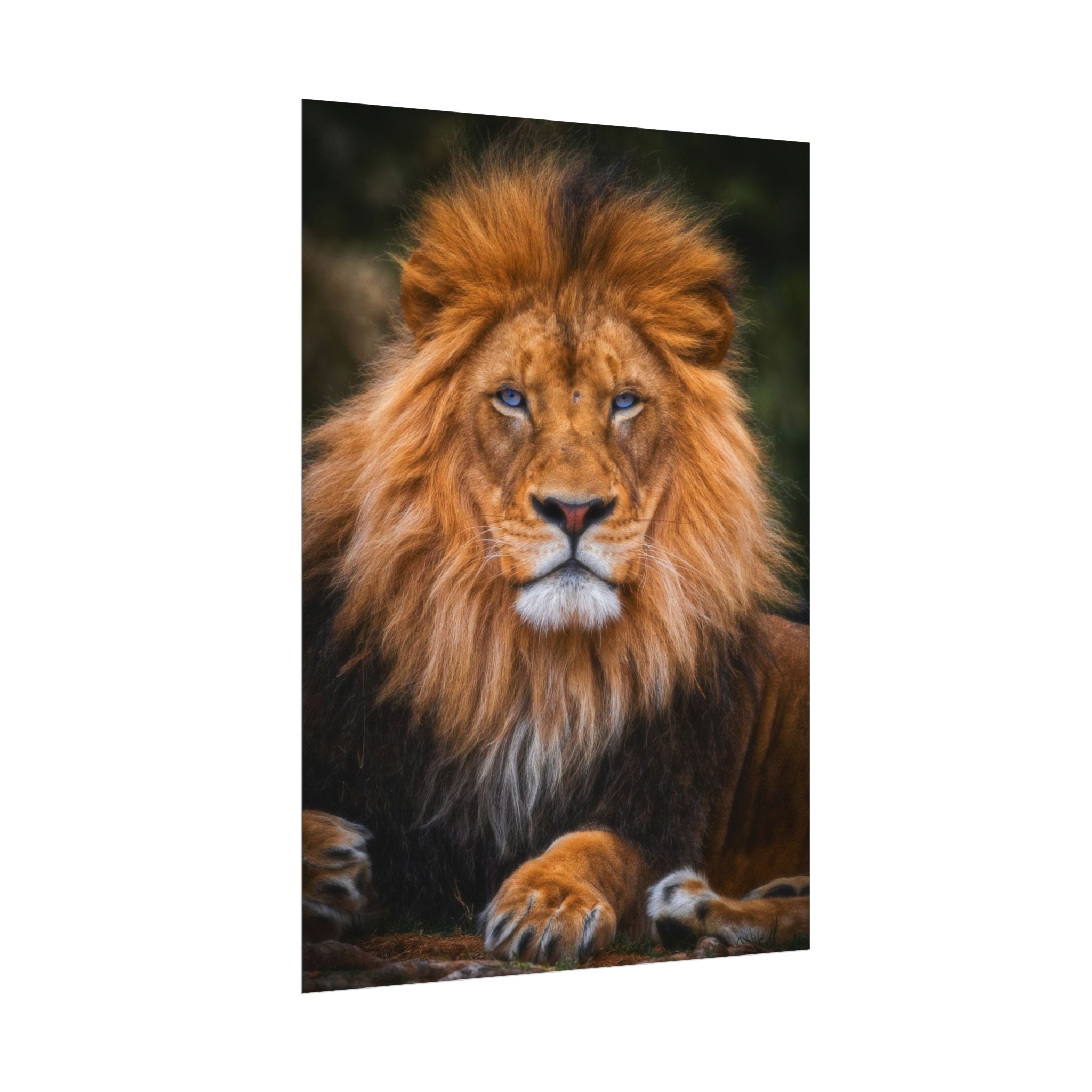 blue-eyed-lion-poster-wall-art-wildlife-home-decor-animal-lover-gift-safari-decoration-wildlife-art-print-lion-wall-decor