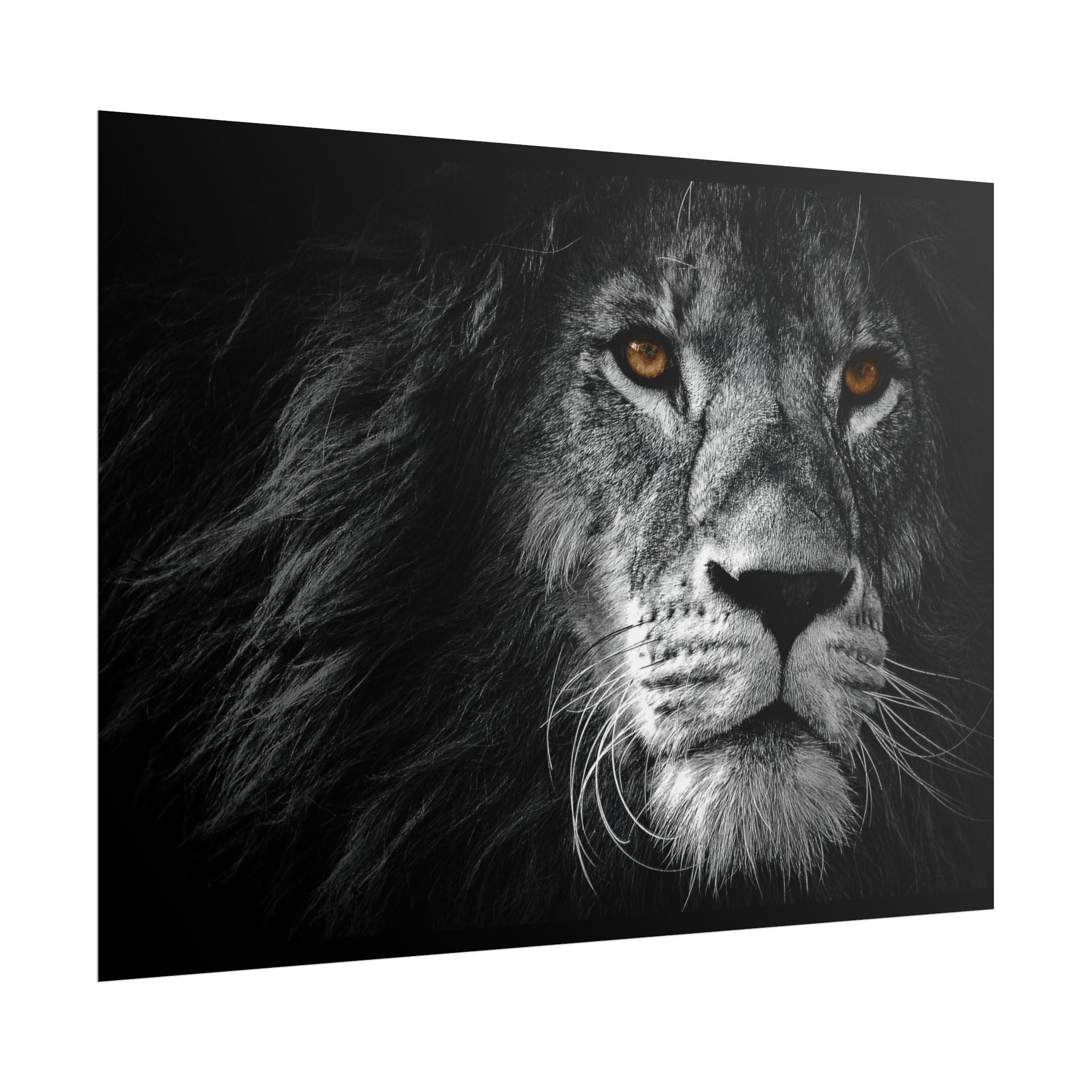poster-print-lion-wall-art-black-and-white-monochrome-decor-living-room-decor-lion-poster-jungle-animal-art-print-wildlife-sa