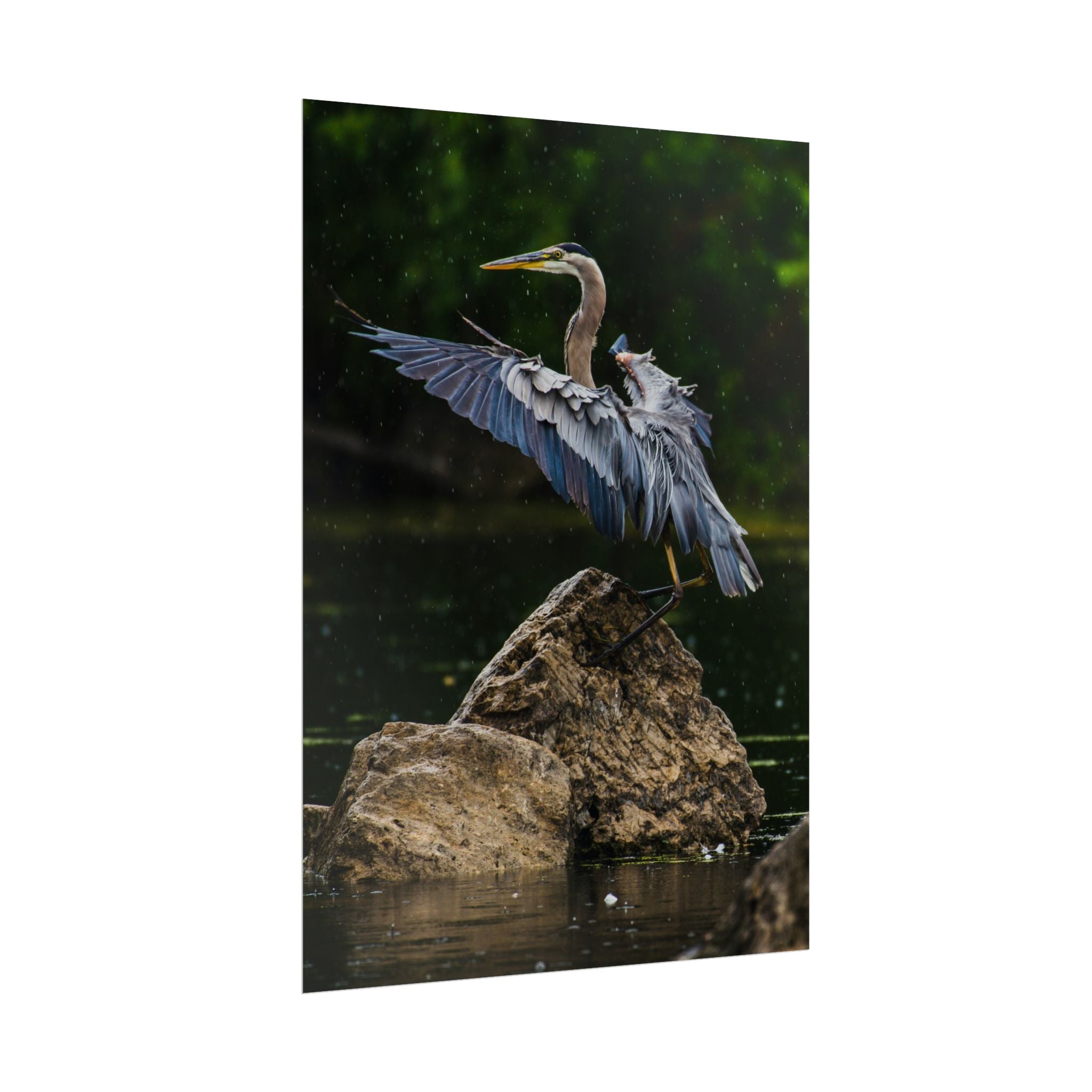 great-blue-heron-poster-wall-art-home-decor-bird-lover-gift-nature-wall-hanging-wildlife-poster