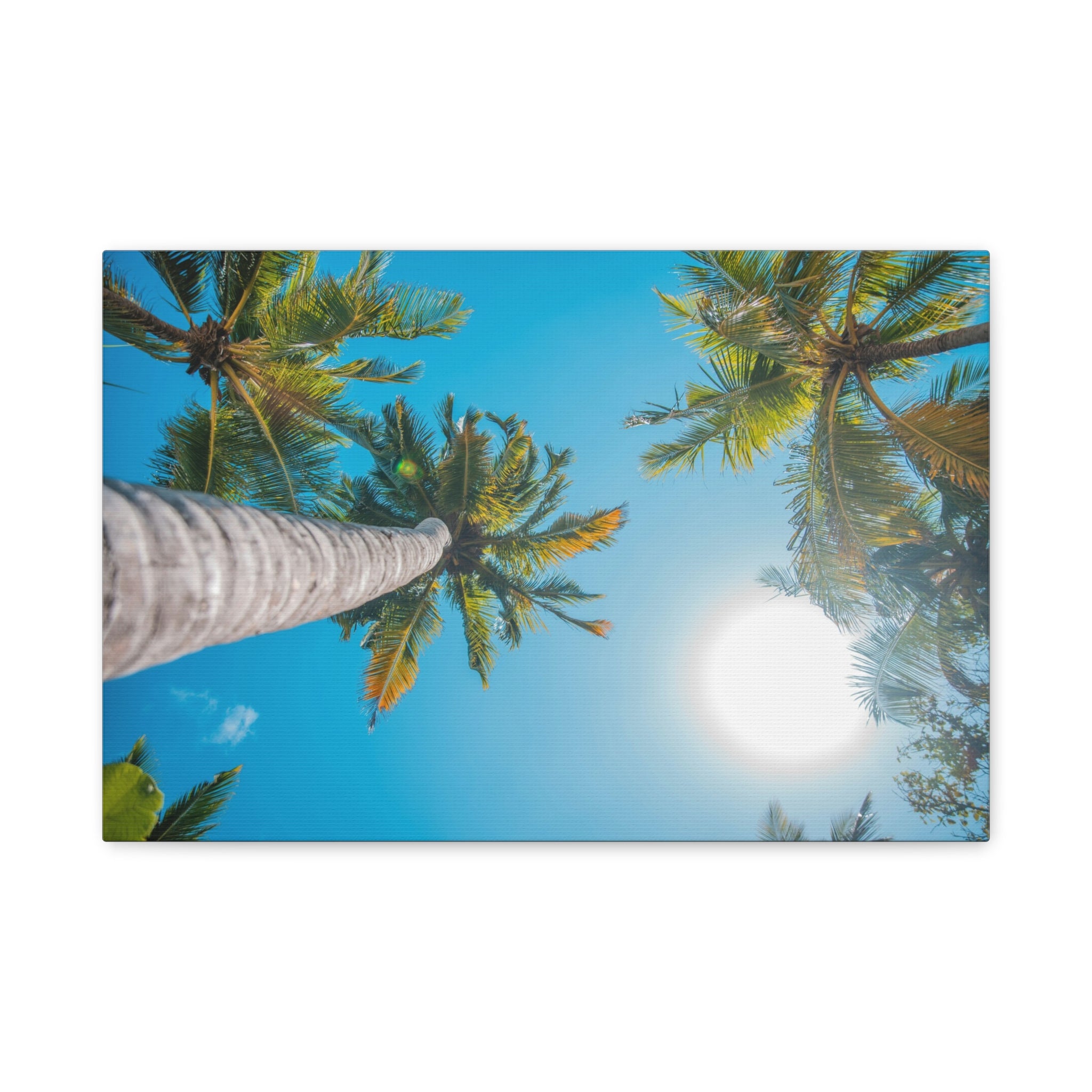 palm-tree-canvas-print-palm-tree-decor-wall-art-print-home-decor-palm-tree-fine-art-palm-tree-art-gallery-stretched-canvas-pr