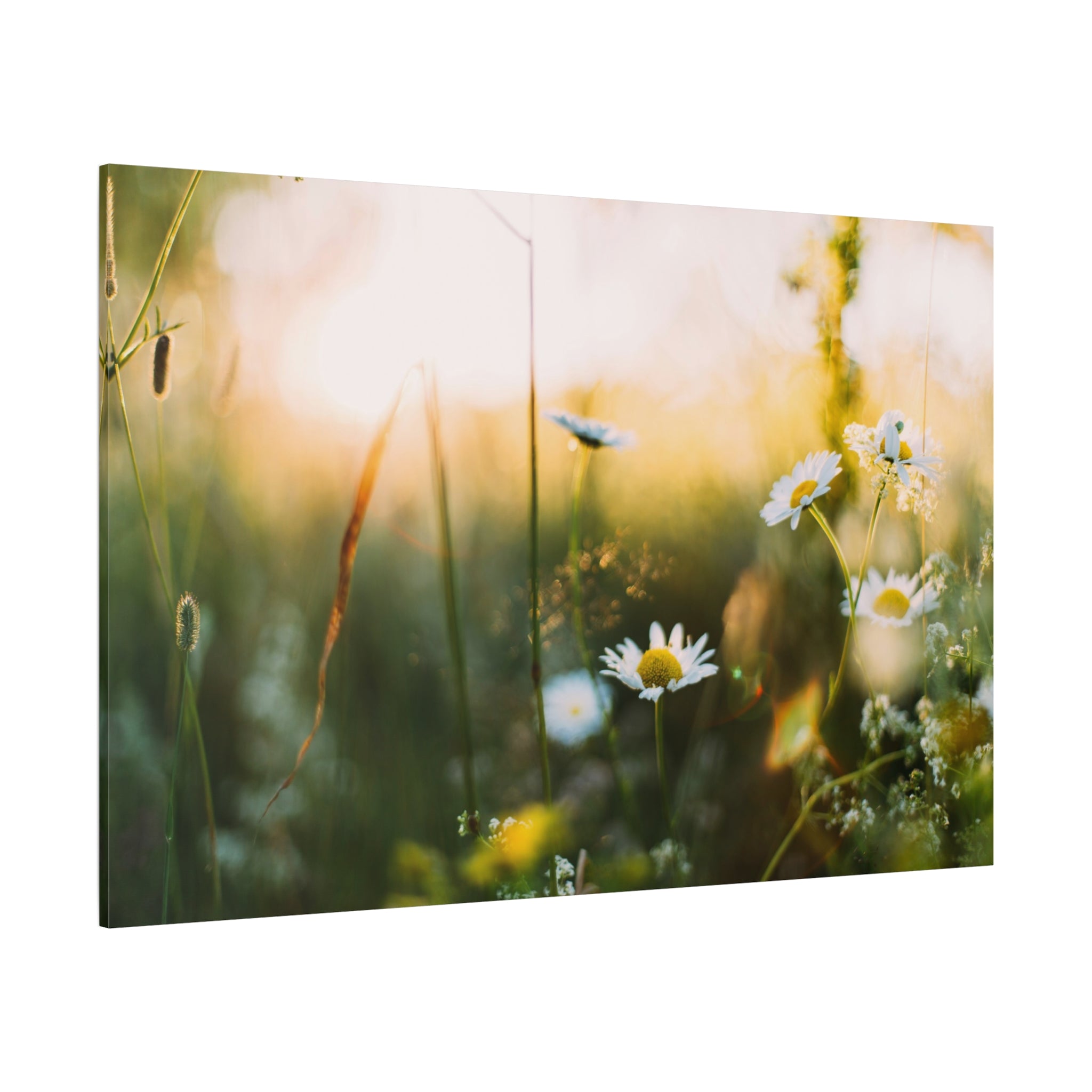 canvas-print-spring-flowers-wall-art-floral-home-decor-matte-canvas-print-stretched-canvas-art-1-25-canvas-artwork-botanical-