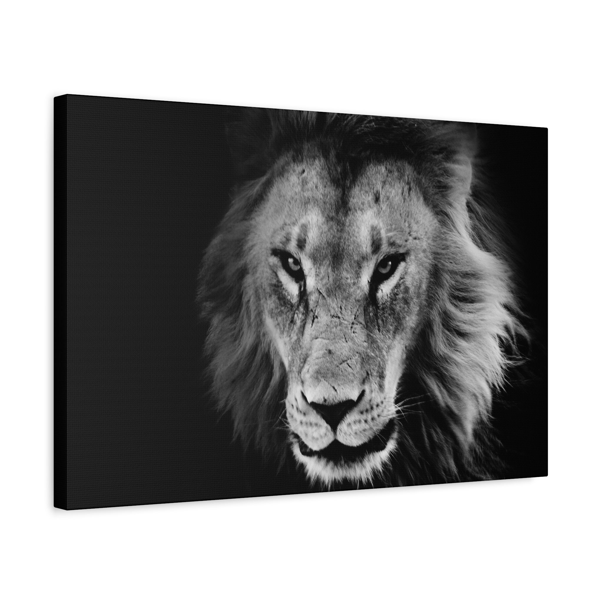 canvas-print-lion-wall-art-black-and-white-living-room-decor-matte-stretched-lion-poster-jungle-animal-art-print-wildlife-saf
