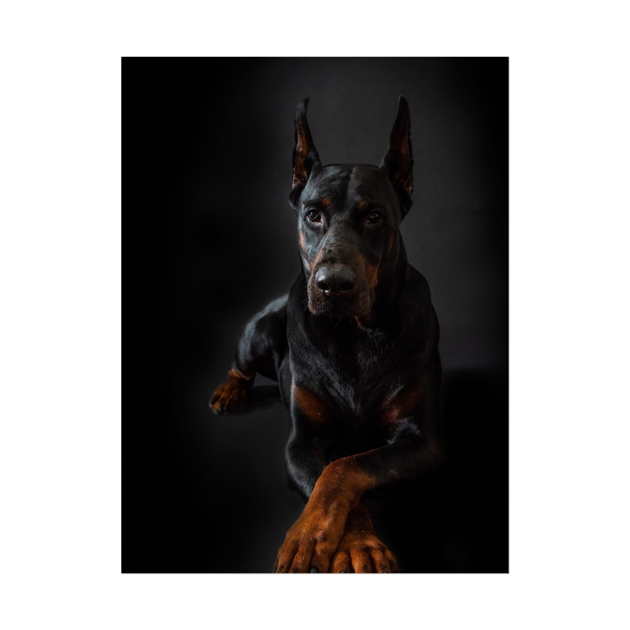 doberman-pincher-poster-print-rolled-posters-wall-art-home-decor-dog-lover-gift-animal-art-room-decoration