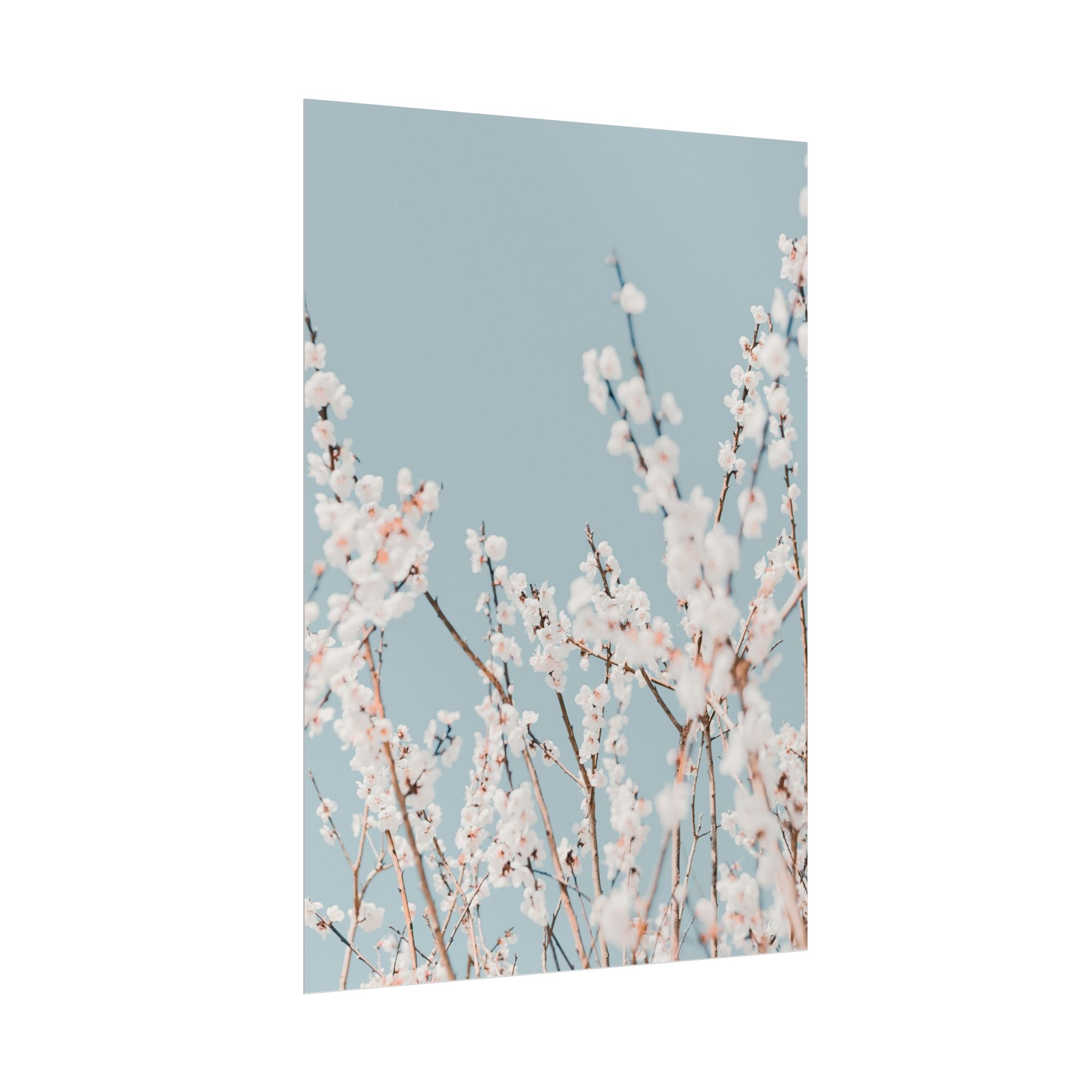 blossom-flowers-poster-print-minimalist-aesthetic-wall-art-fine-art-paper-home-decor-floral-decor-elegant-artwork