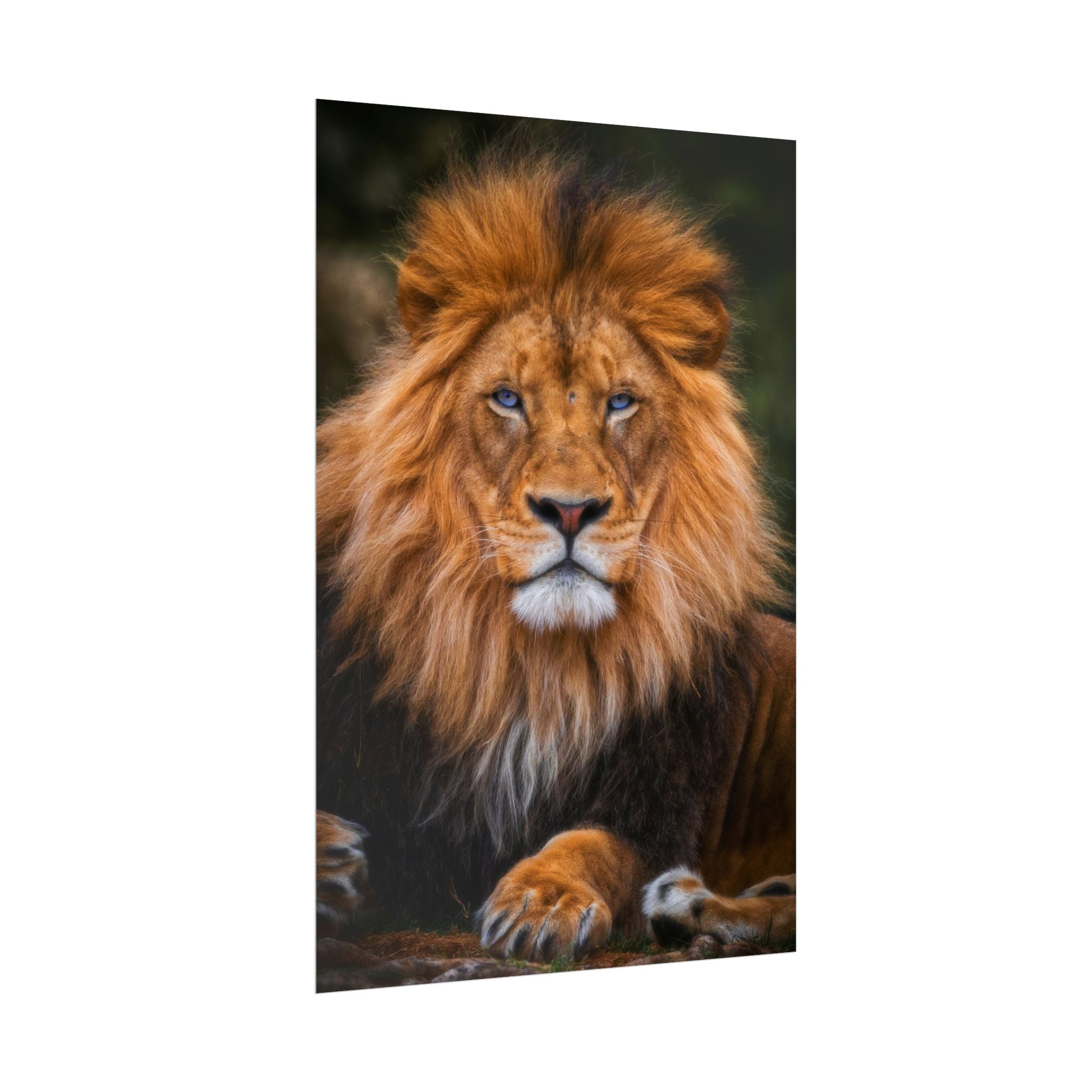 blue-eyed-lion-poster-wall-art-wildlife-home-decor-animal-lover-gift-safari-decoration-wildlife-art-print-lion-wall-decor
