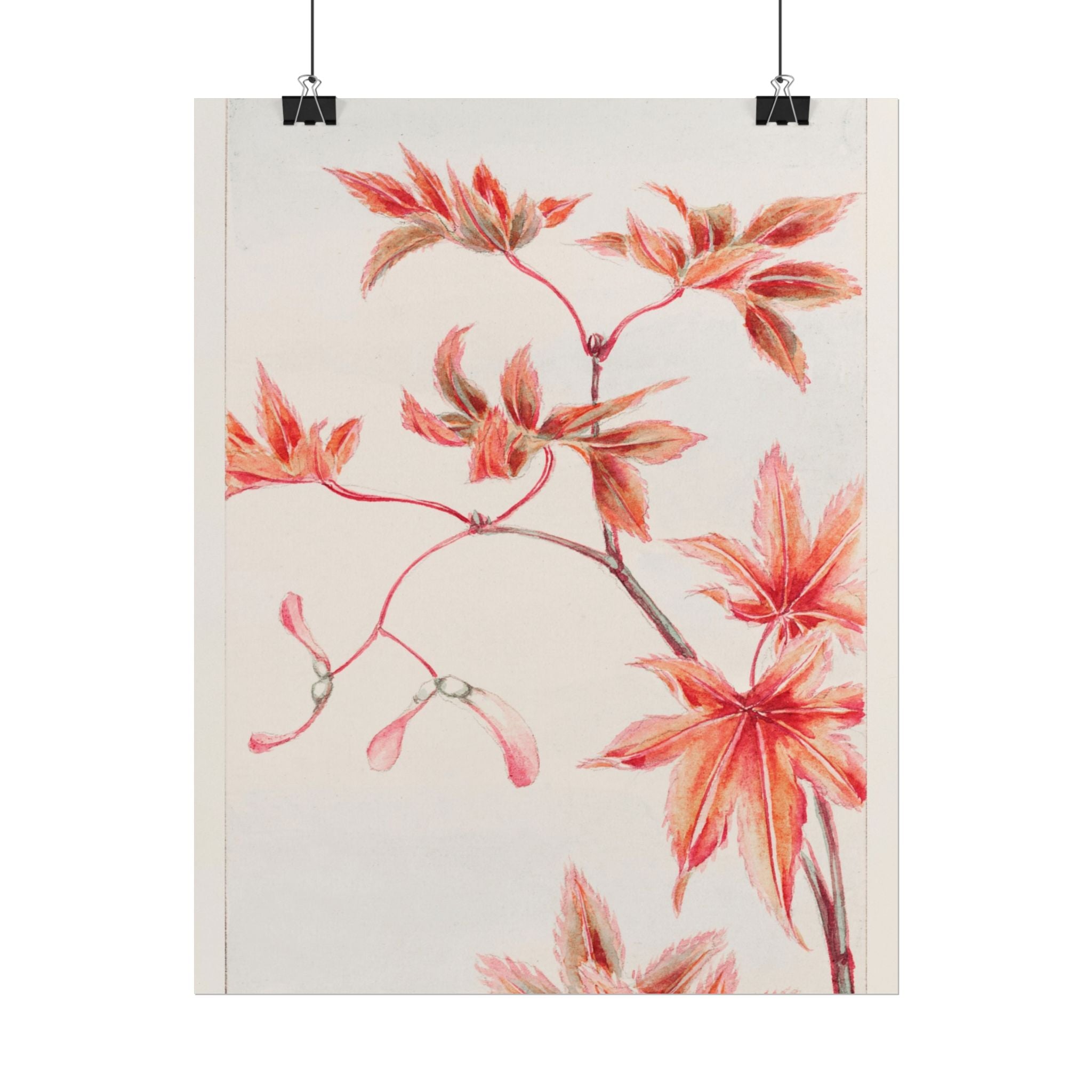 poster-print-branch-of-momiji-maple-tree-with-leaves-floral-wall-art-rolled-posters-wall-decor-room-decoration-nature-art-bot