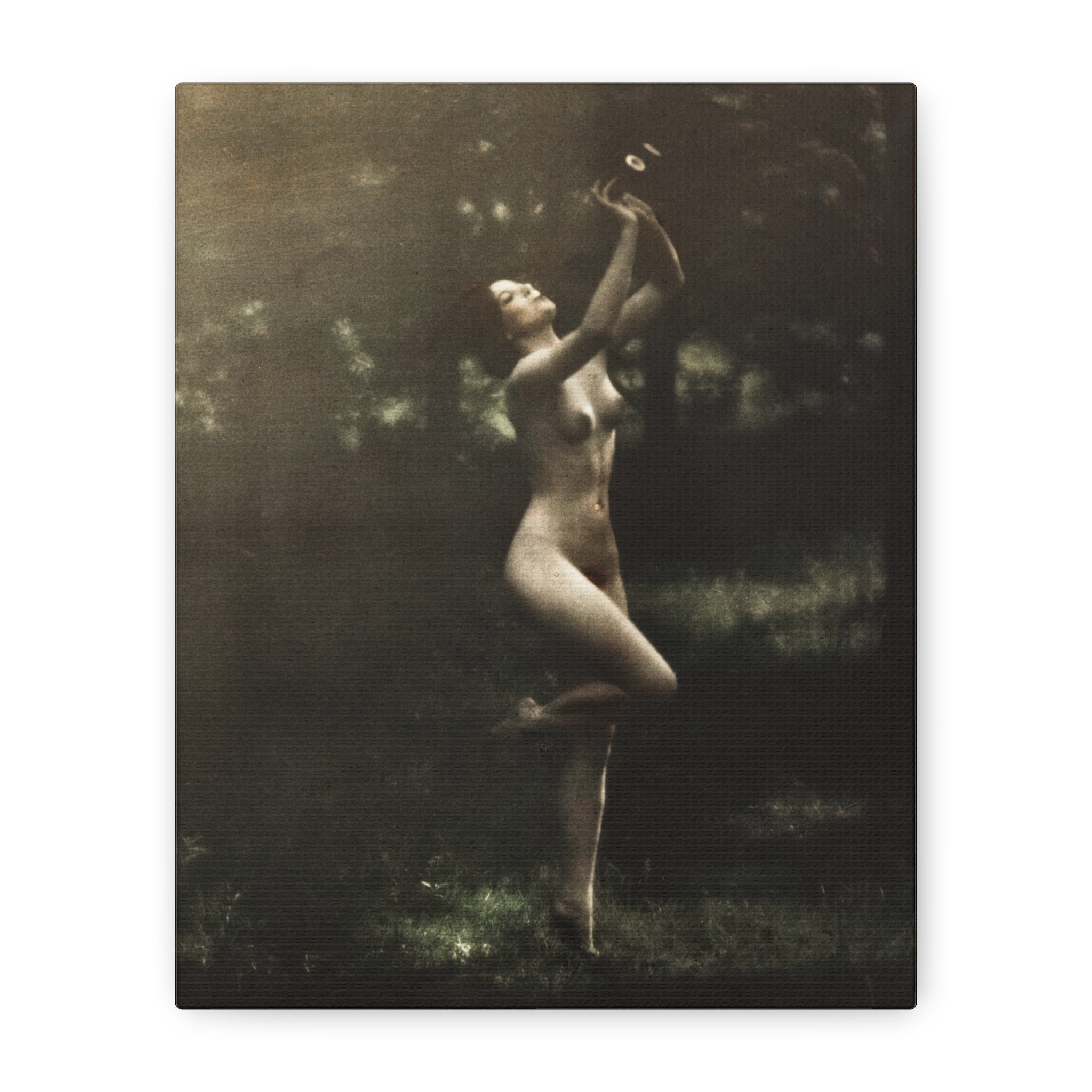 canvas-print-nude-dancer-by-arnold-genthe-nude-photography-nude-art-wall-decor-stretched-canvas-art-print-nature-photography