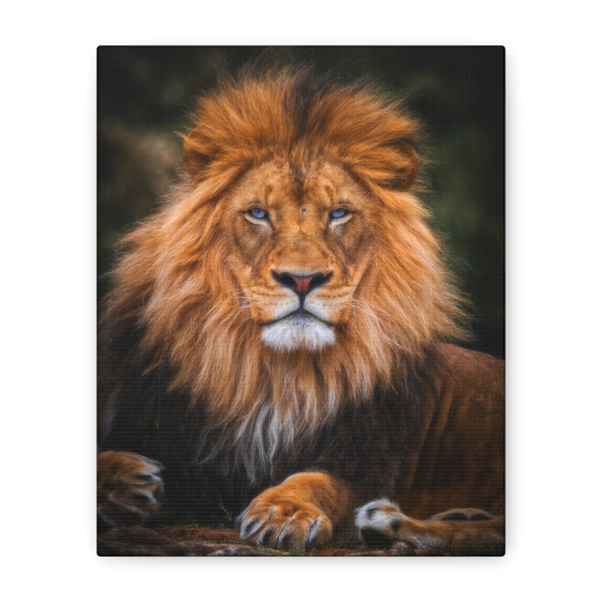 canvas-print-blue-eyed-lion-wall-art-wildlife-home-decor-animal-lover-gift-safari-nursery-decoration-wildlife-art-print-lion-
