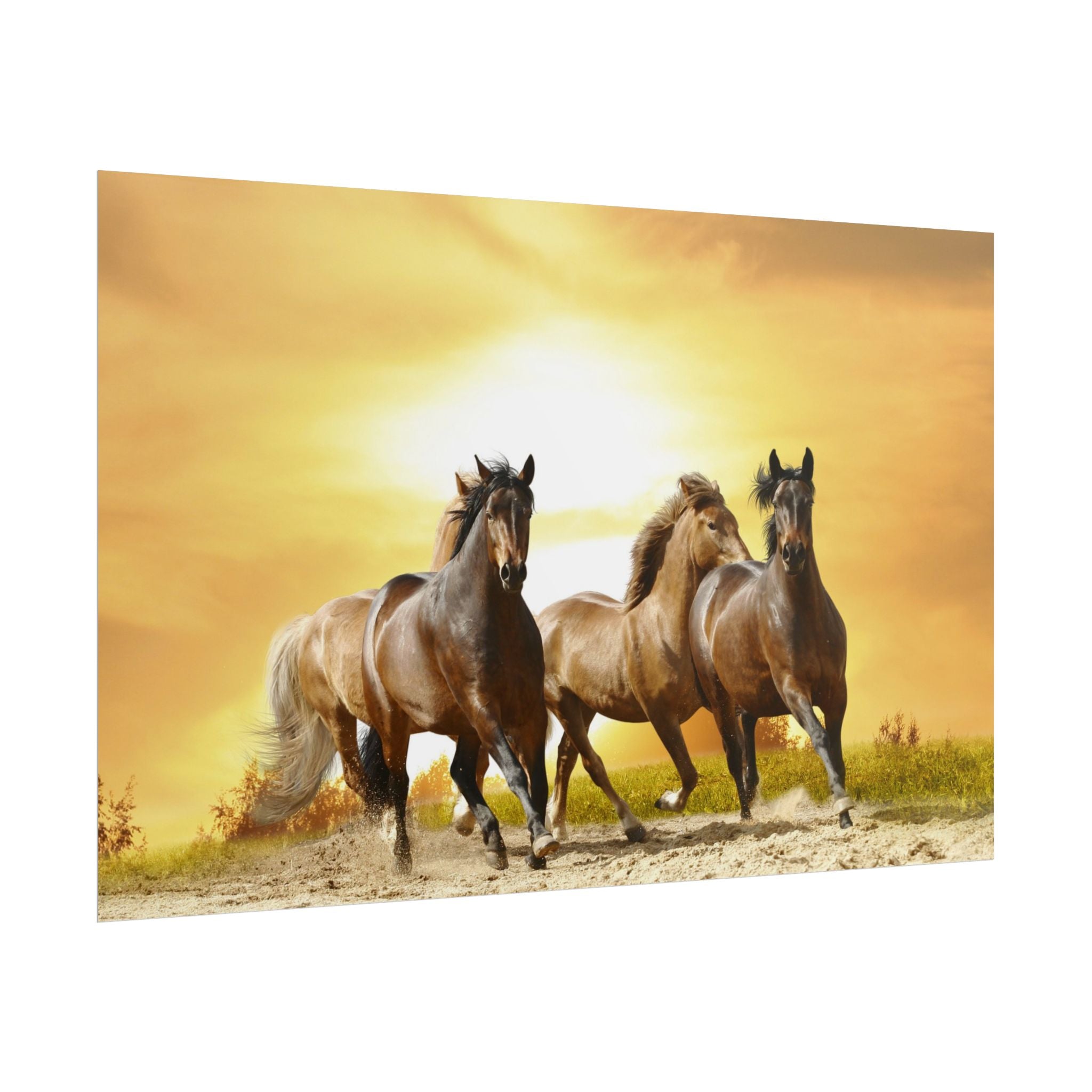 running-horse-poster-wall-art-farmhouse-wall-decor-home-decor-housewarming-gift-horse-print-wall-print-wild-animals