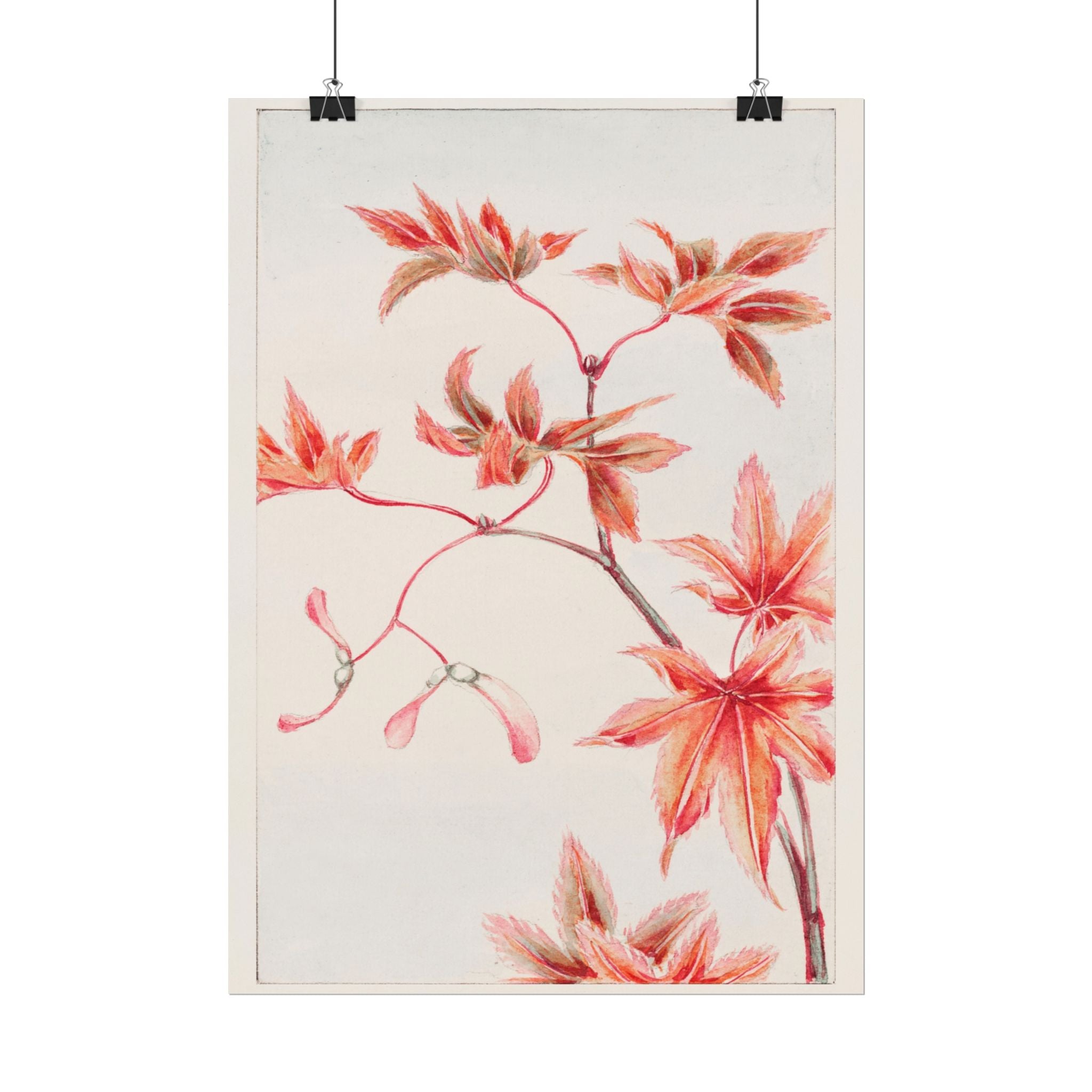 poster-print-branch-of-momiji-maple-tree-with-leaves-floral-wall-art-rolled-posters-wall-decor-room-decoration-nature-art-bot