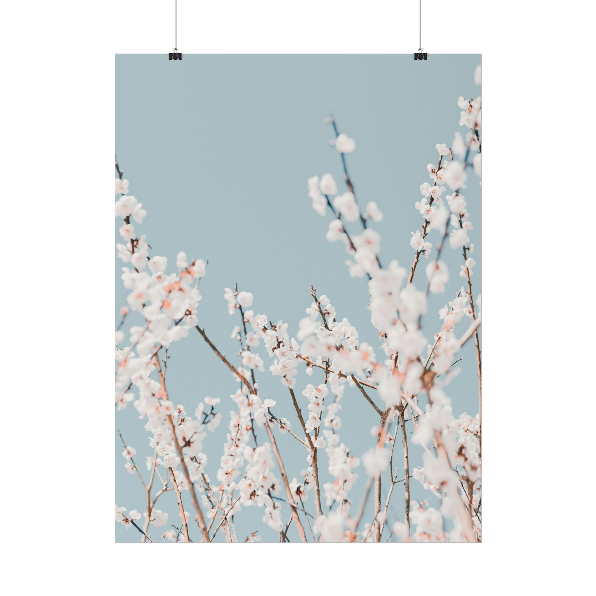blossom-flowers-poster-print-minimalist-aesthetic-wall-art-fine-art-paper-home-decor-floral-decor-elegant-artwork