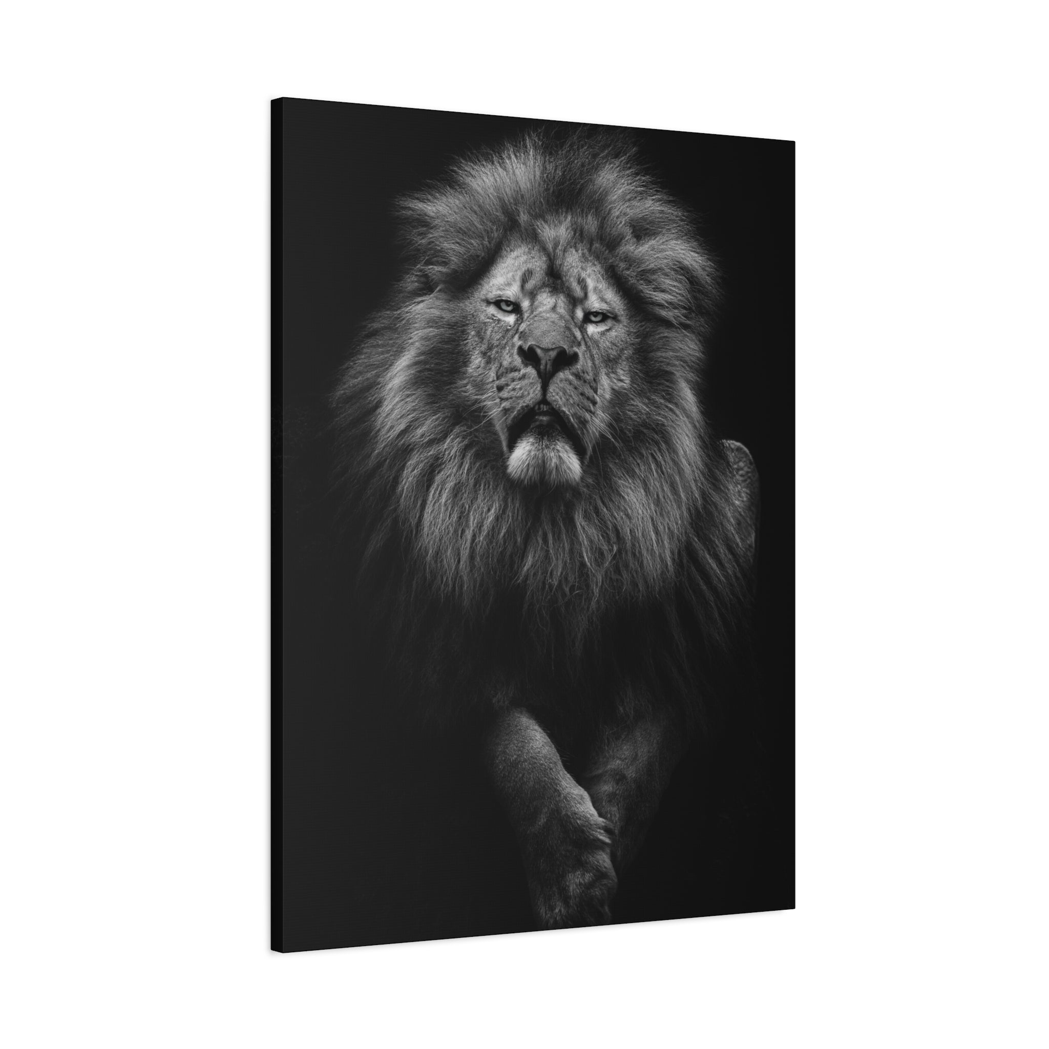 canvas-print-lion-wall-art-black-and-white-living-room-decor-matte-stretched-lion-poster-jungle-animal-art-print-wildlife-saf
